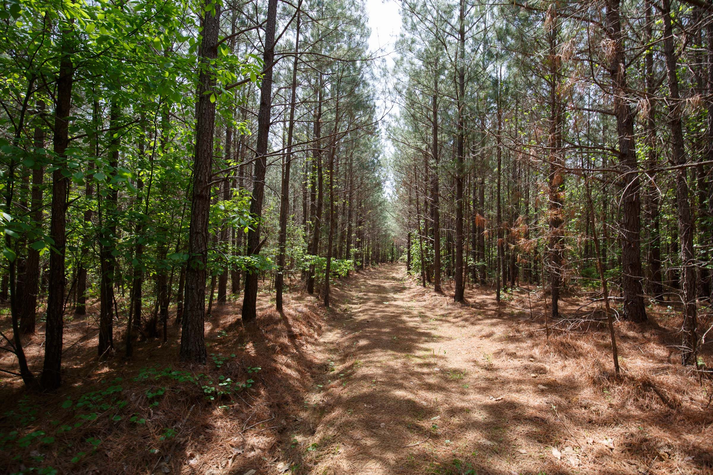 Red Barn Ranch Tract 55 photo 1