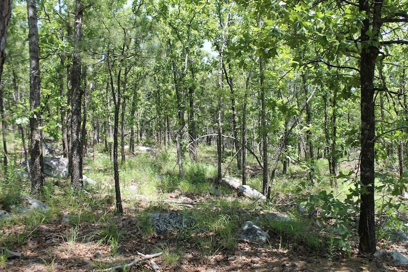 Indian Ridge – Phase II Tract 85 photo 2
