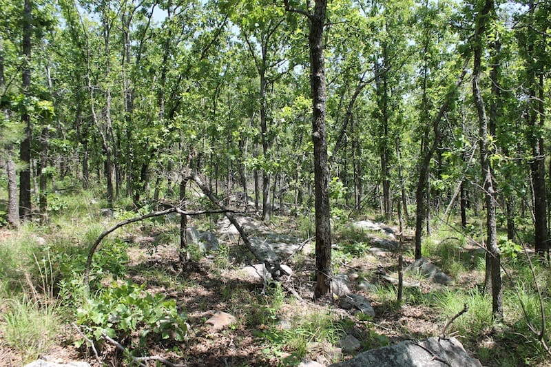 Indian Ridge – Phase II Tract 85 photo 4