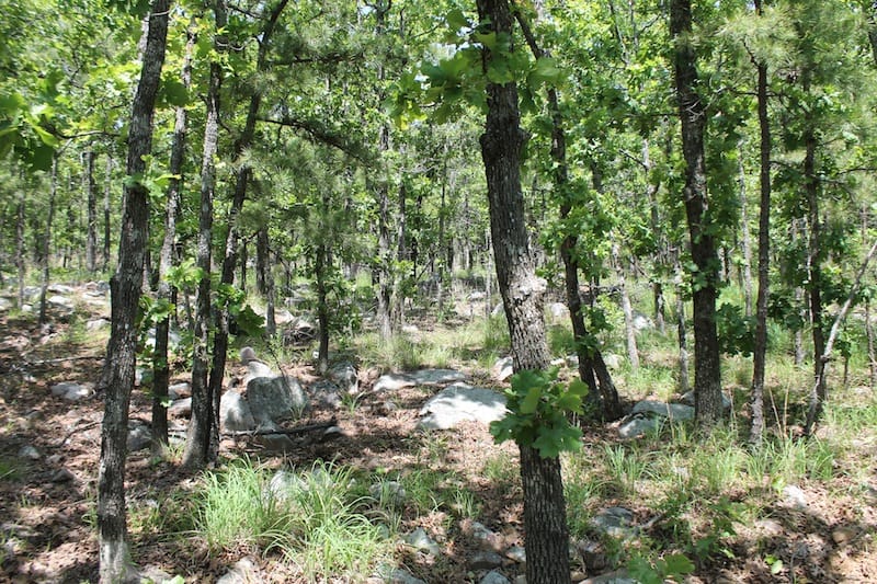 Indian Ridge – Phase II Tract 85 photo 5