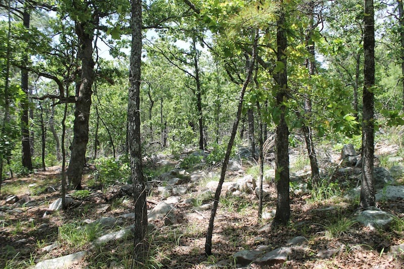 Indian Ridge – Phase II Tract 85 photo 6