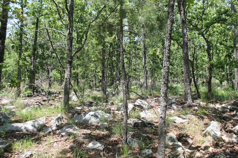 Indian Ridge – Phase II Tract 85 photo 7