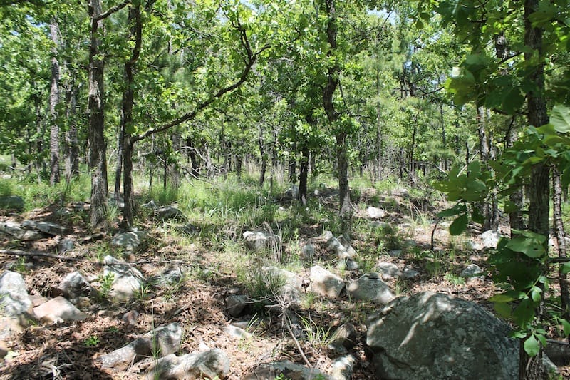 Indian Ridge – Phase II Tract 85 photo 8