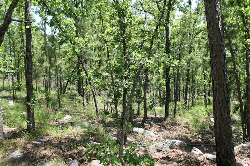 Indian Ridge – Phase II Tract 85 photo 9