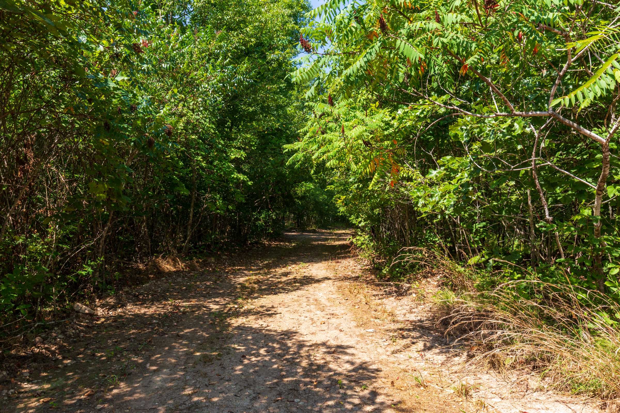 Cypress Ridge Tract 29 photo 1