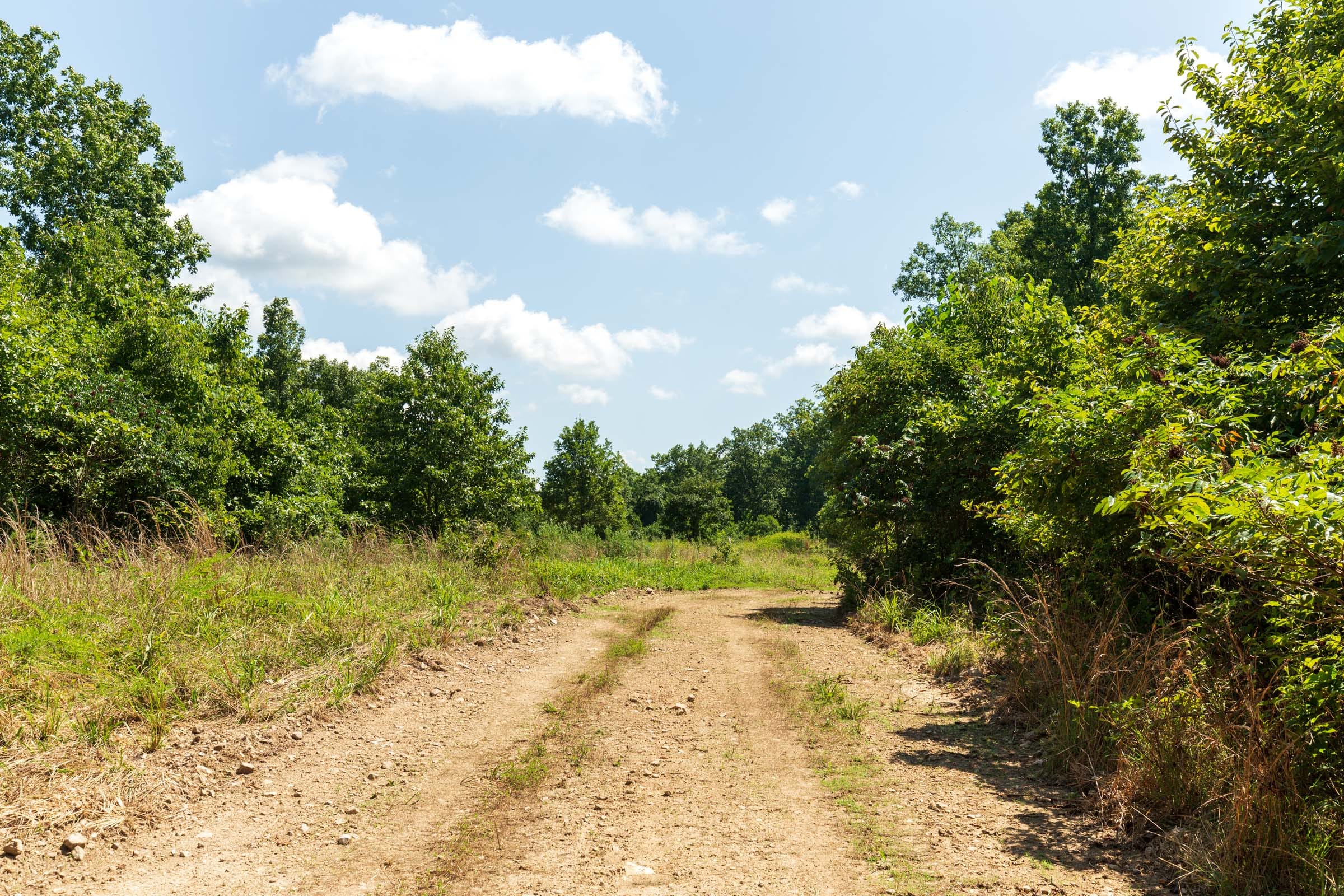 Cypress Ridge Tract 29 photo 5