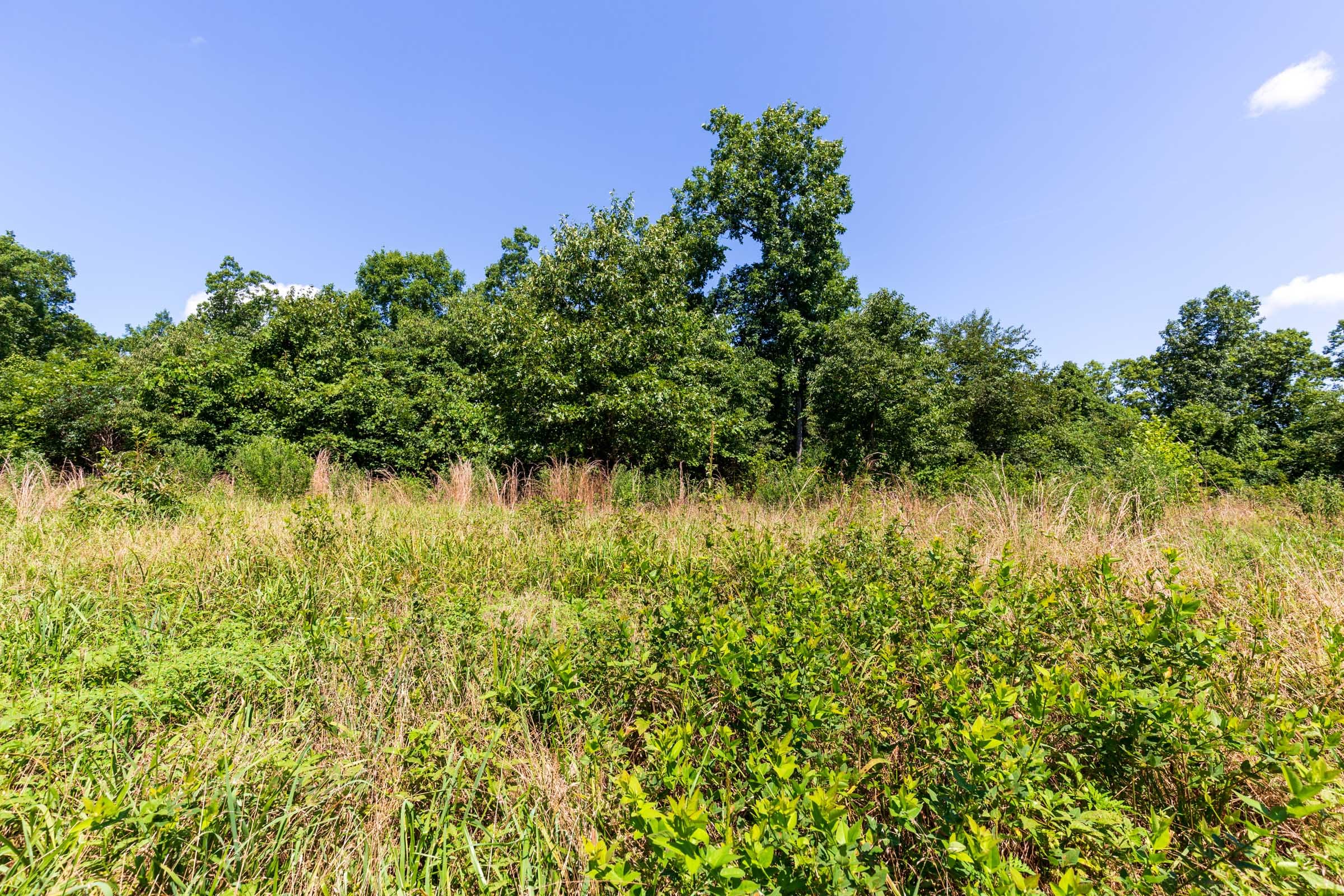 Cypress Ridge Tract 29 photo 2