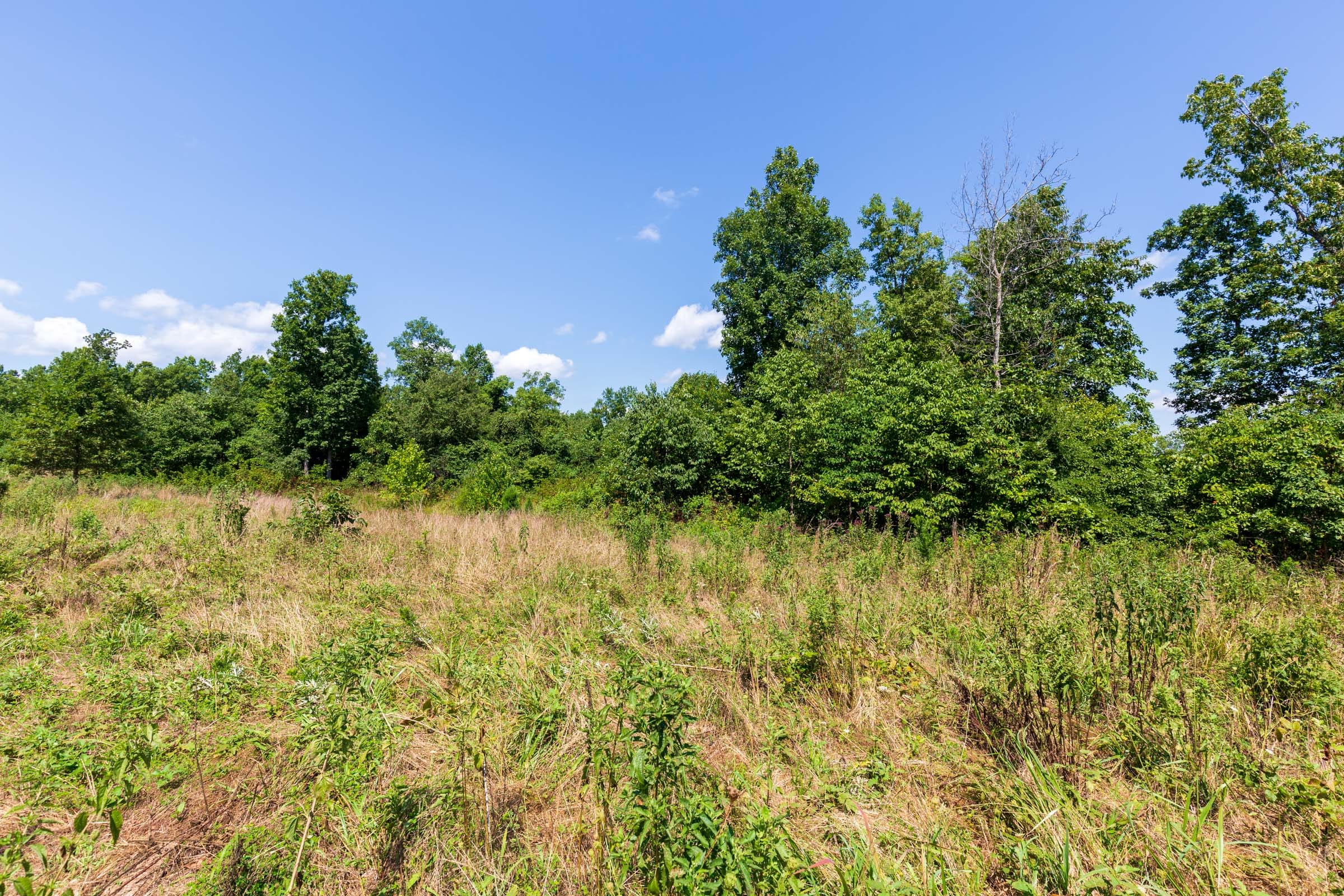 Cypress Ridge Tract 29 photo 6