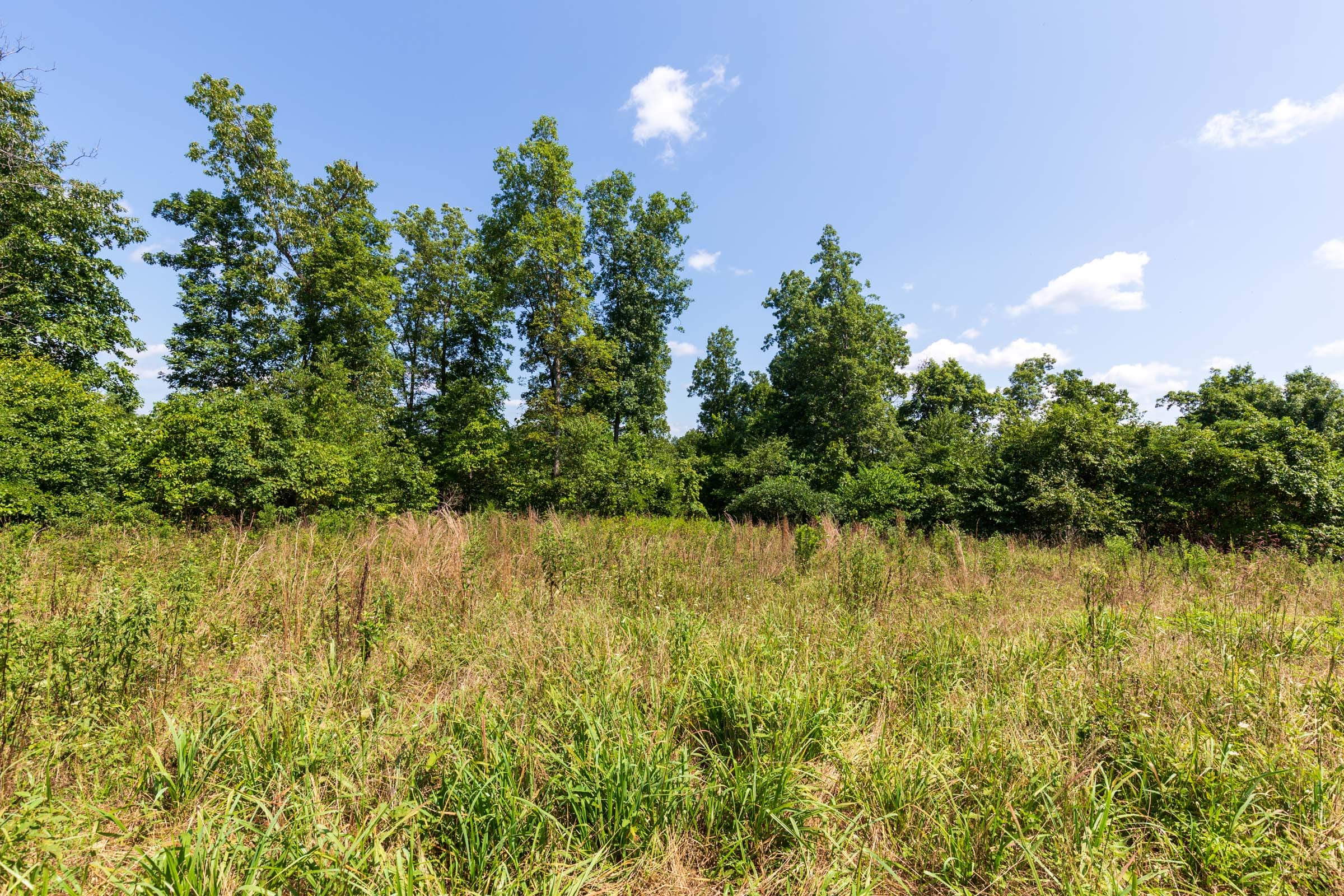 Cypress Ridge Tract 29 photo 7