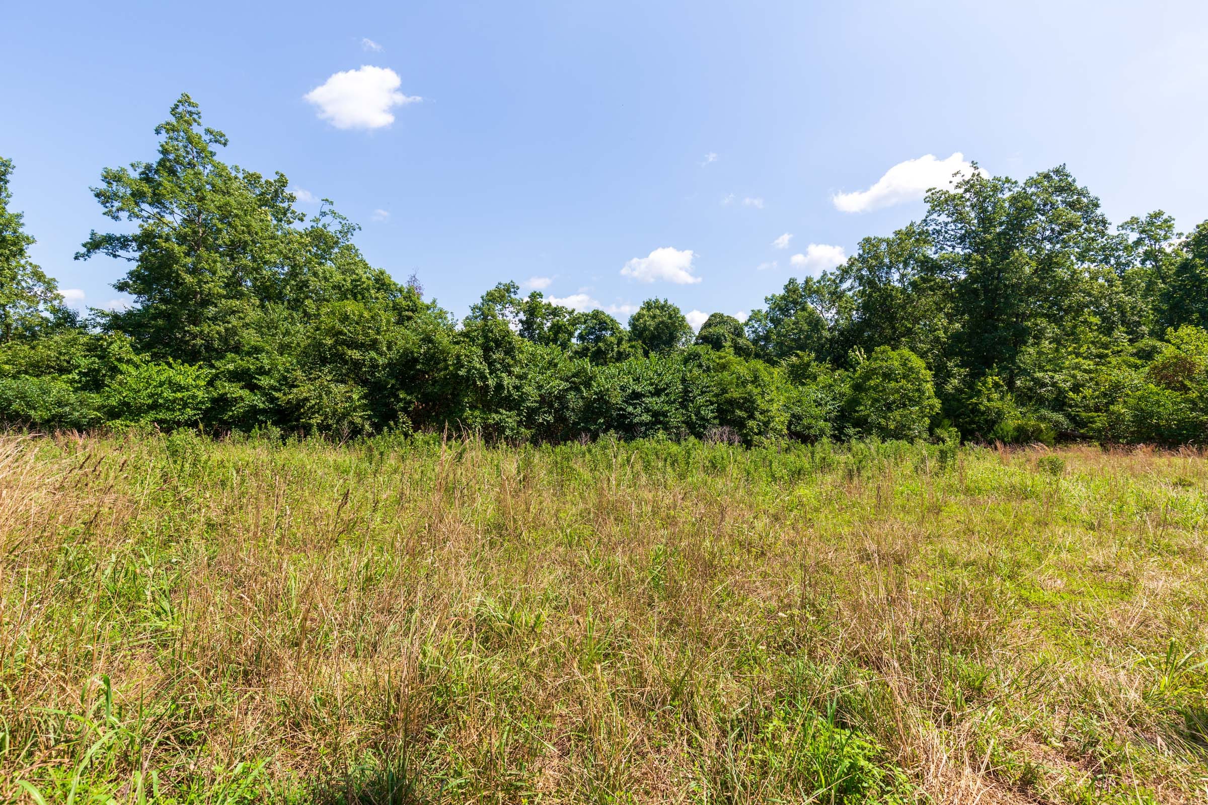 Cypress Ridge Tract 29 photo 9
