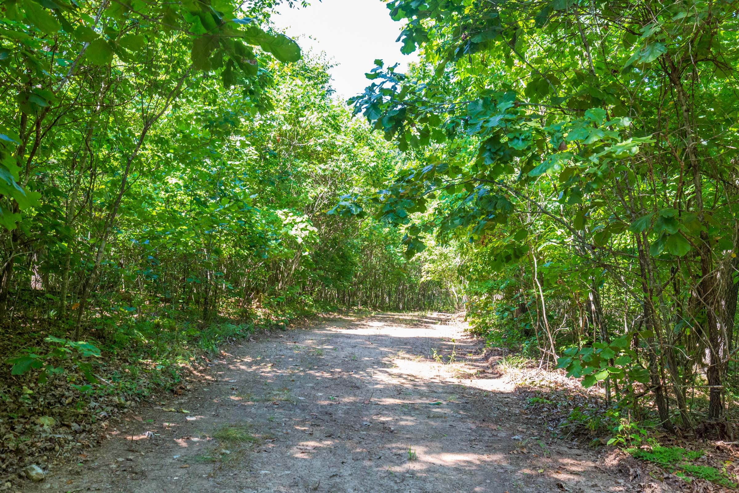 Cypress Ridge Tract 29 photo 15