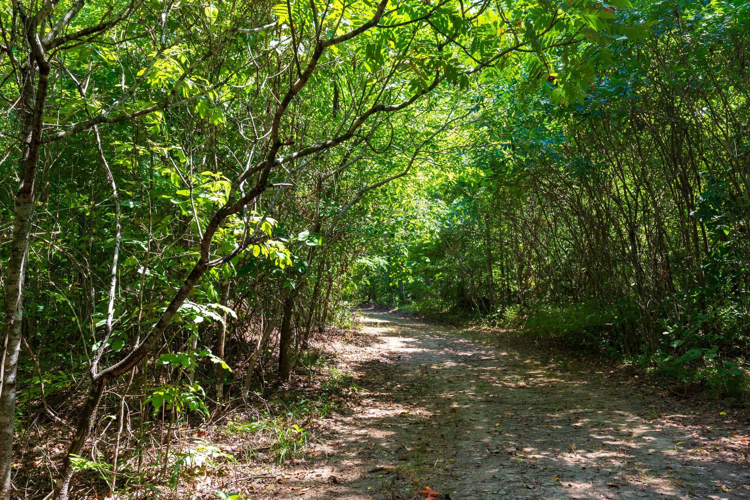 Cypress Ridge Tract 29 photo 18