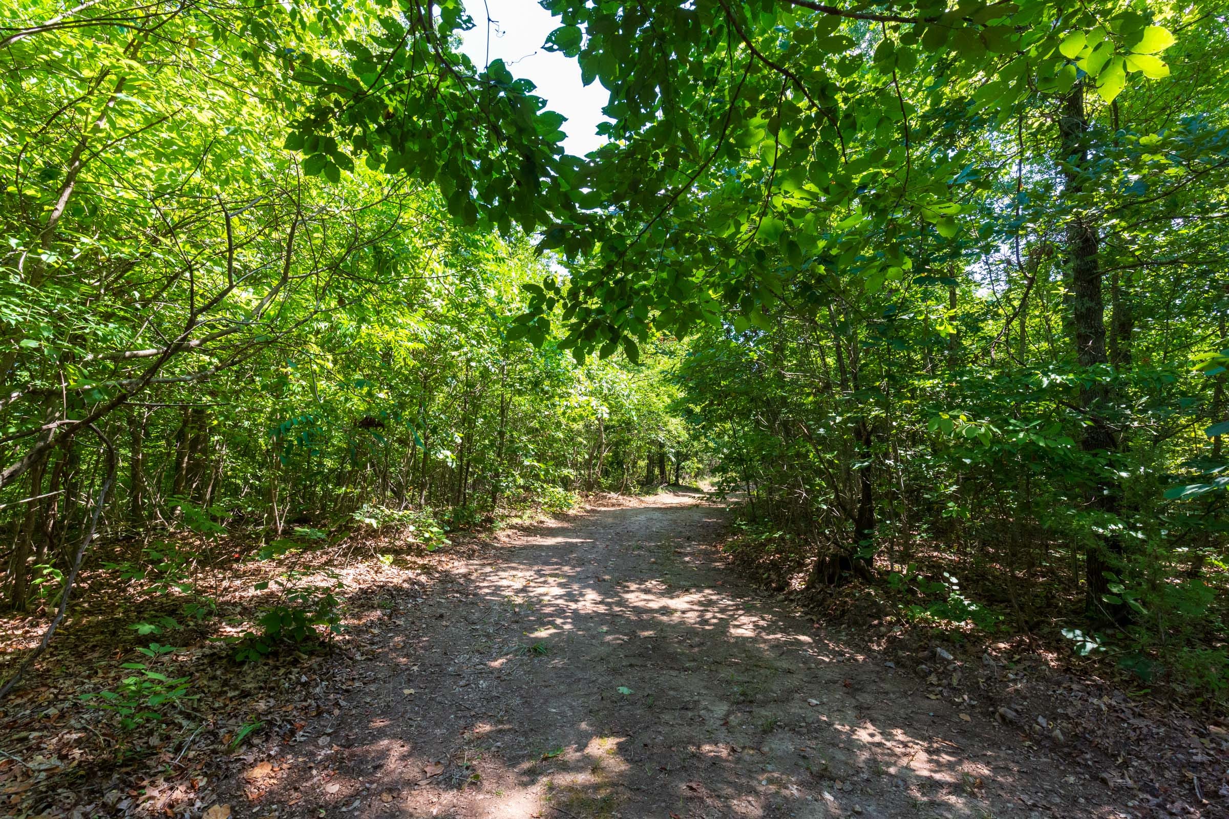 Cypress Ridge Tract 29 photo 21