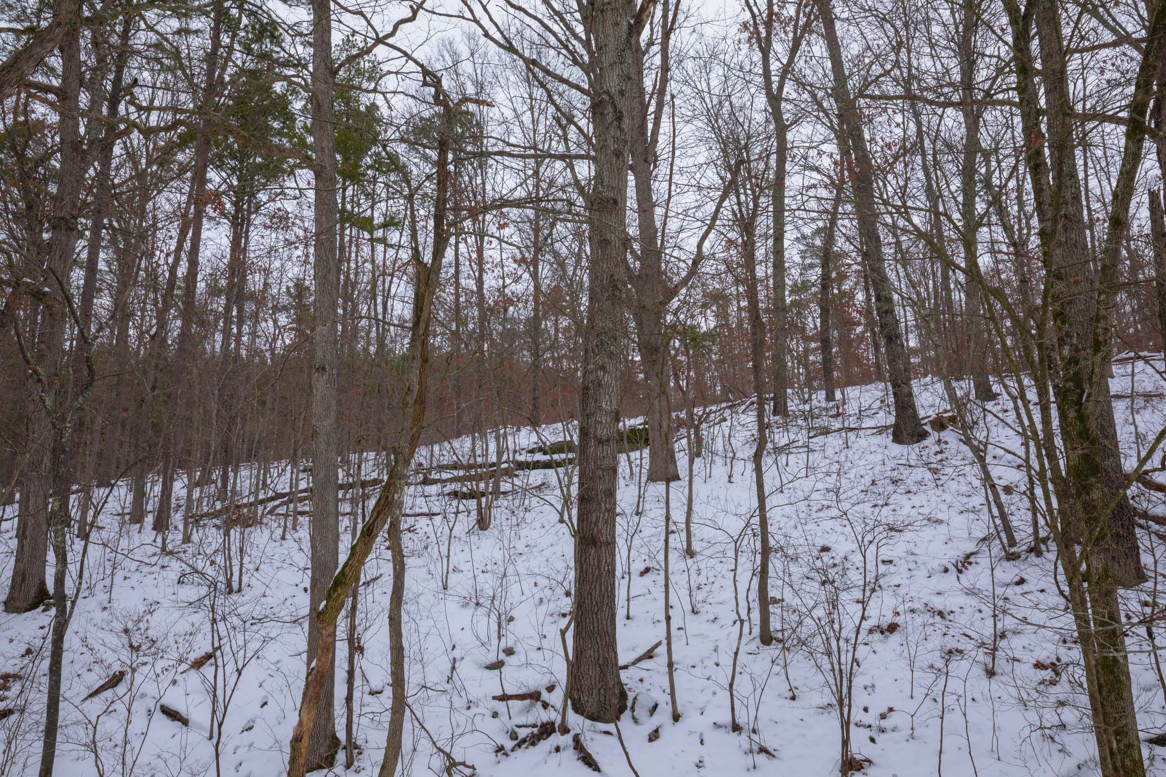 Sleepy Hollow Phase I Tract 51 photo 1