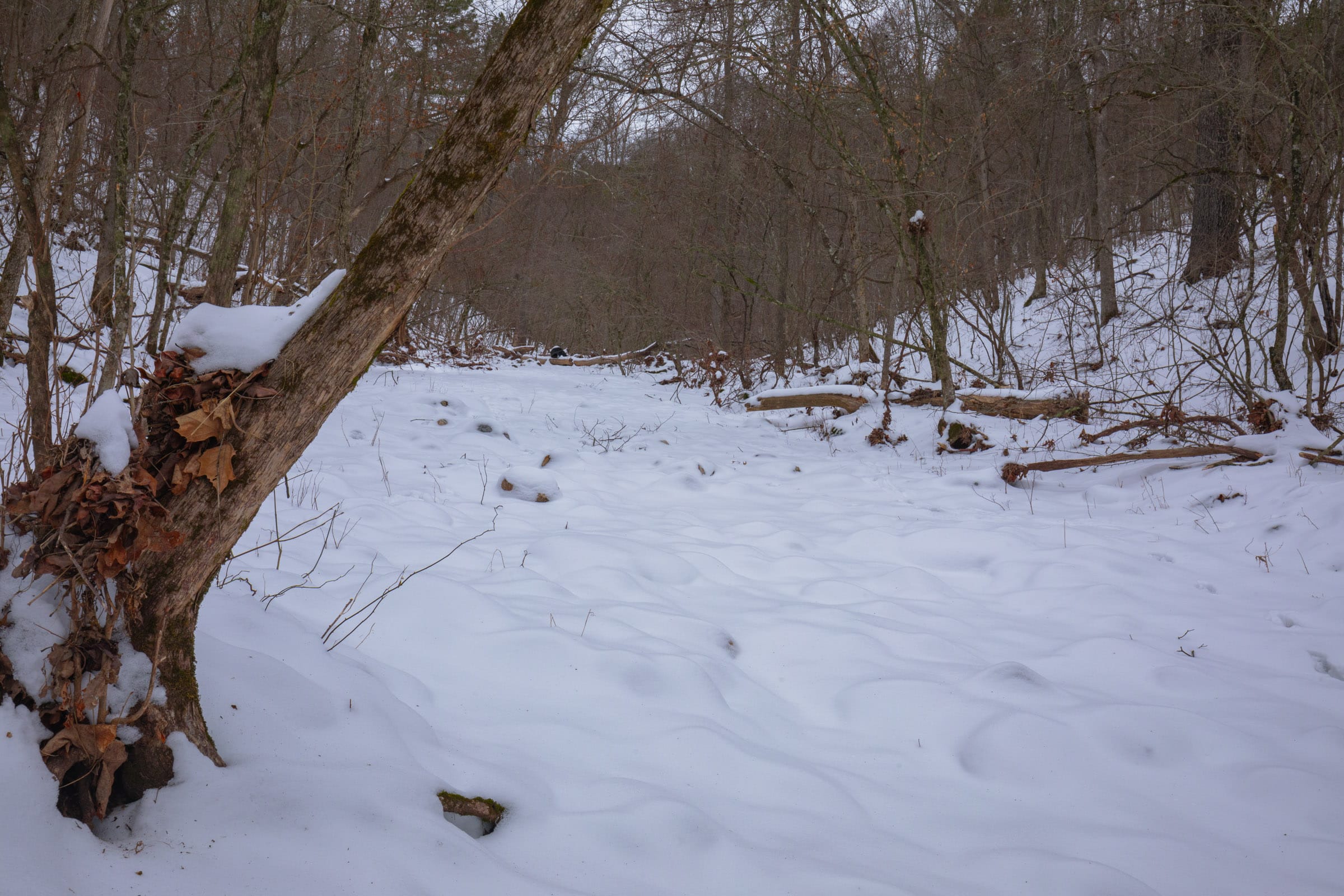 Sleepy Hollow Phase I Tract 51 photo 19