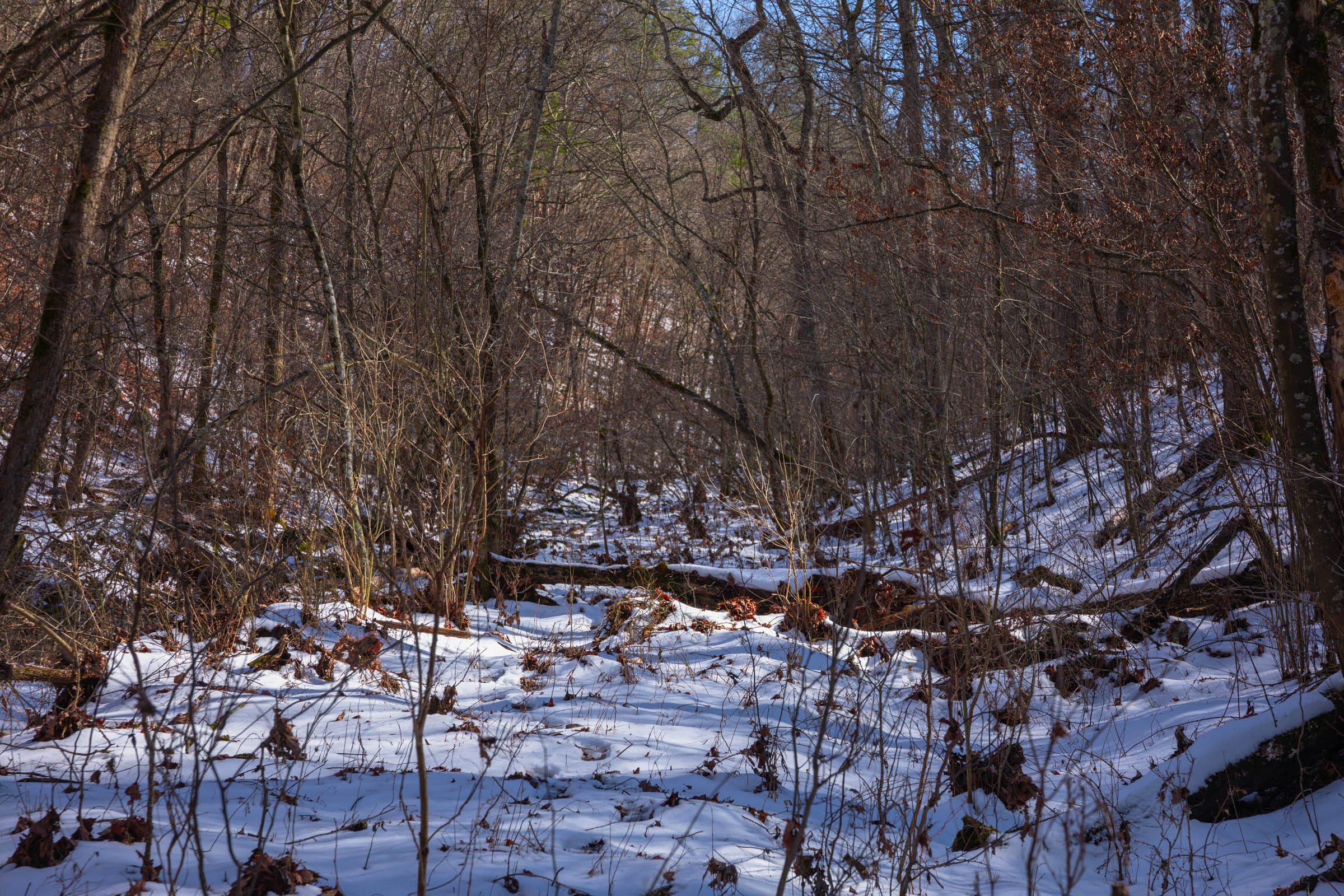 Sleepy Hollow Phase I Tract 51 photo 2