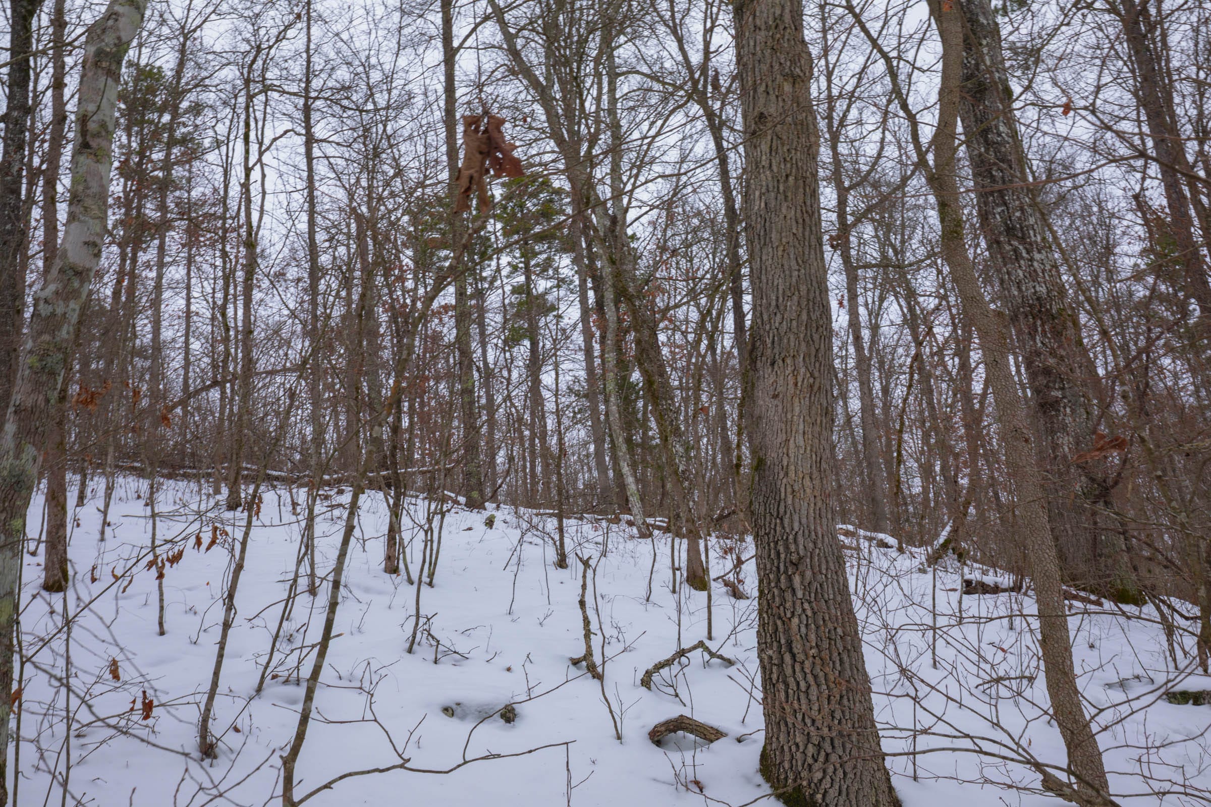 Sleepy Hollow Phase I Tract 51 photo 18