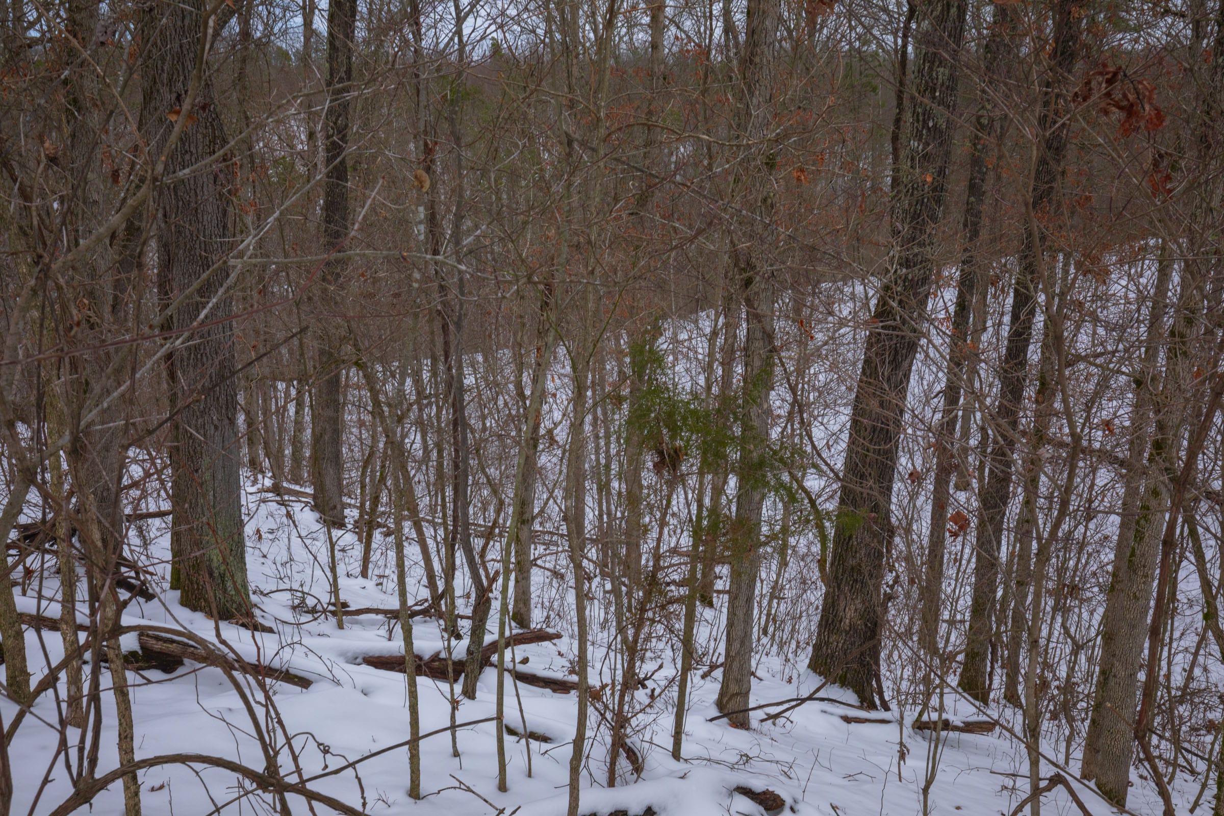 Sleepy Hollow Phase I Tract 51 photo 17
