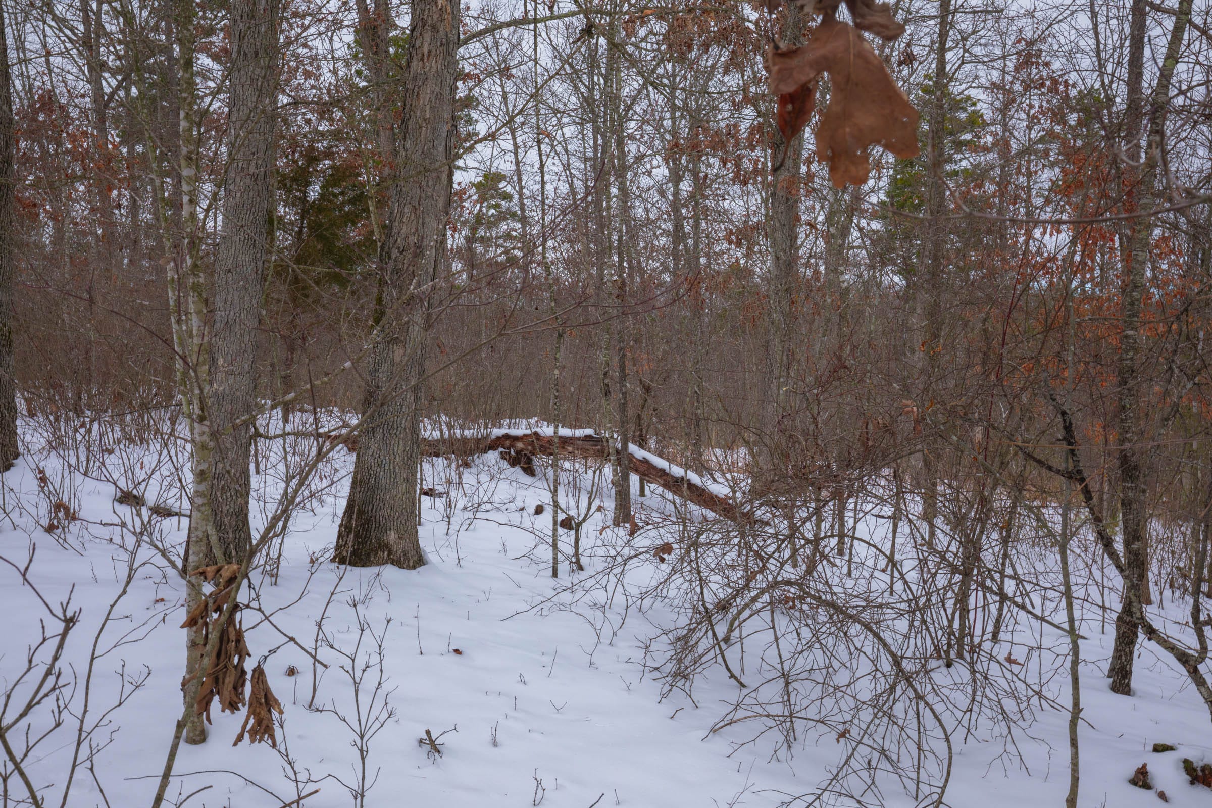 Sleepy Hollow Phase I Tract 51 photo 16