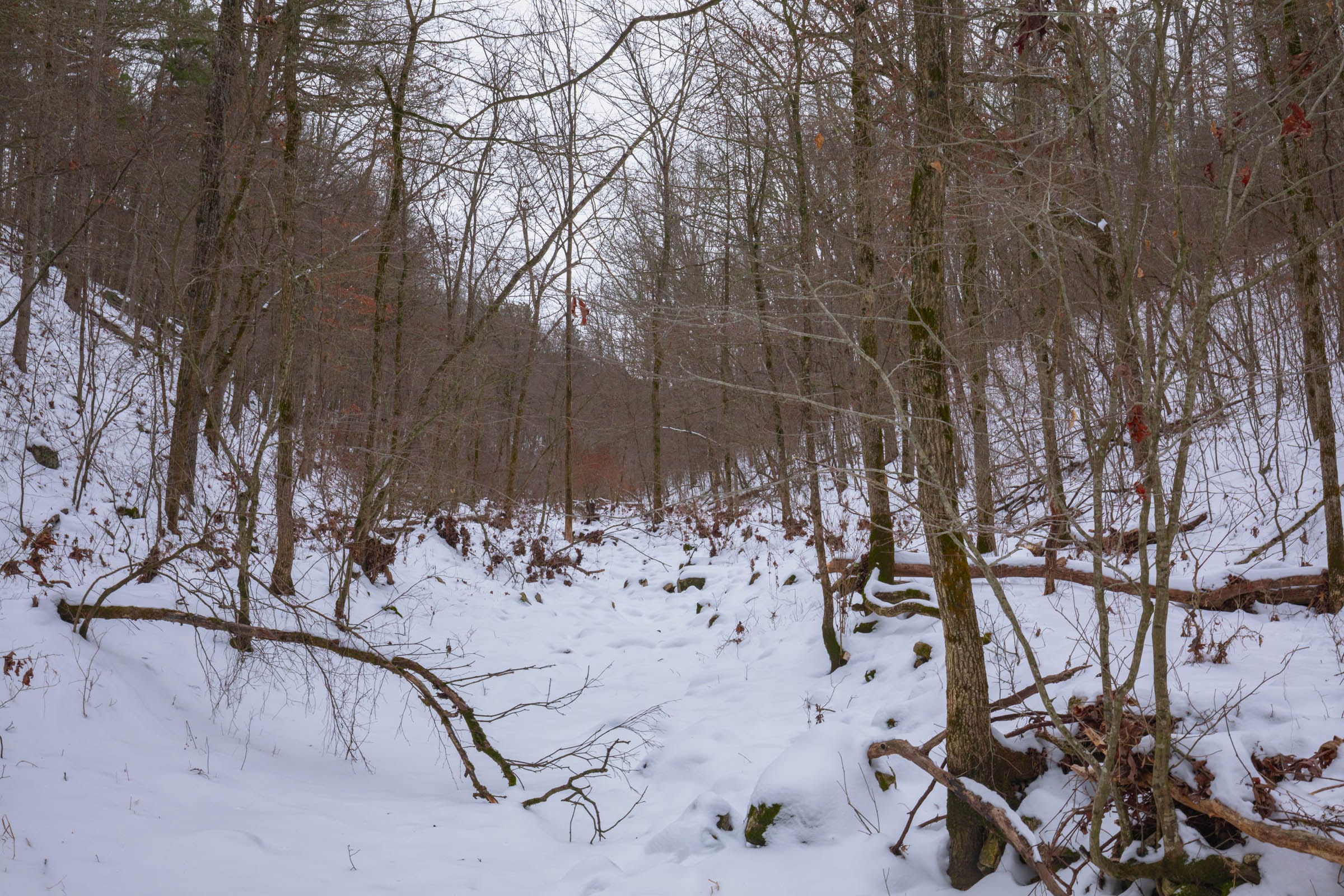 Sleepy Hollow Phase I Tract 51 photo 14