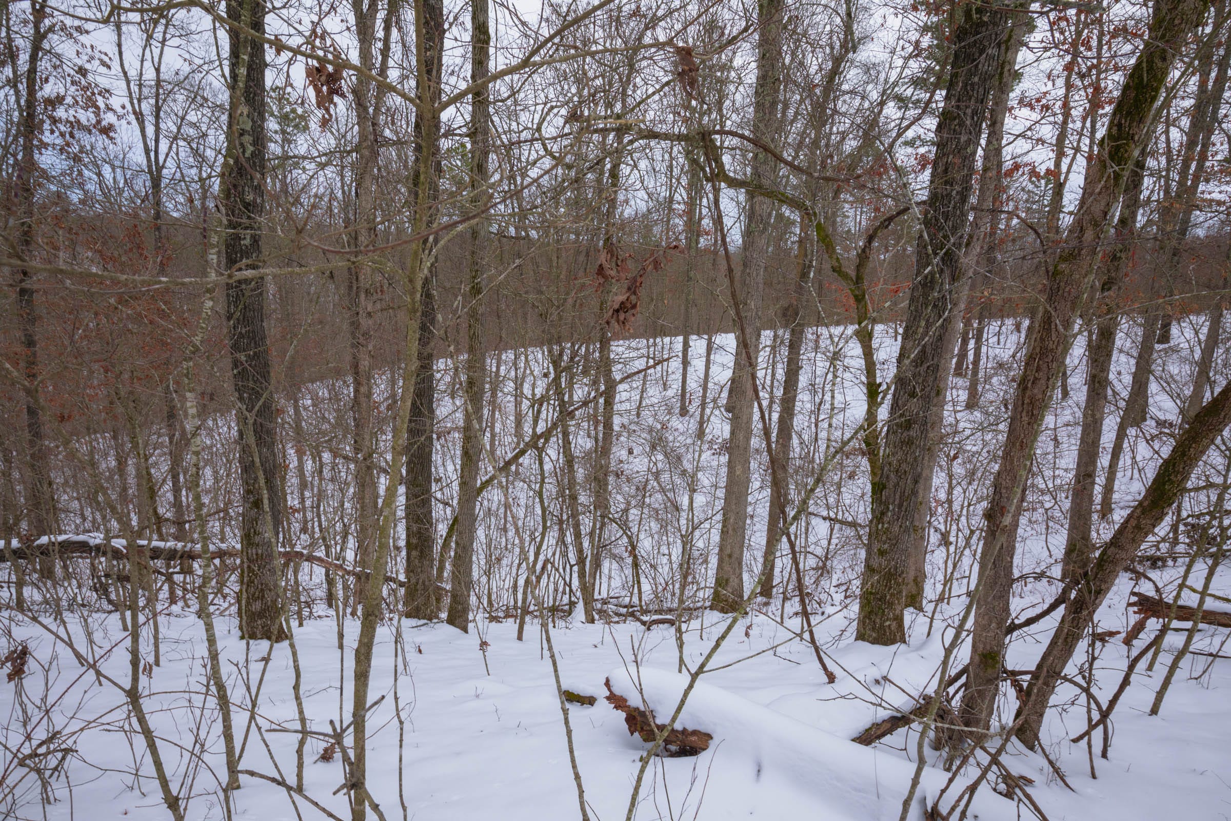 Sleepy Hollow Phase I Tract 51 photo 11