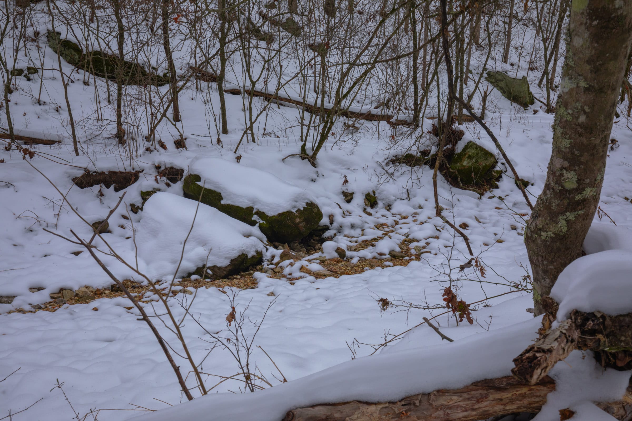 Sleepy Hollow Phase I Tract 51 photo 10