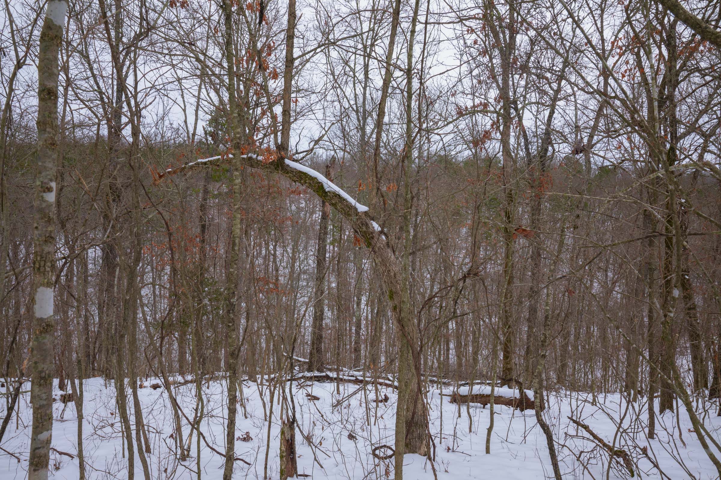 Sleepy Hollow Phase I Tract 51 photo 7