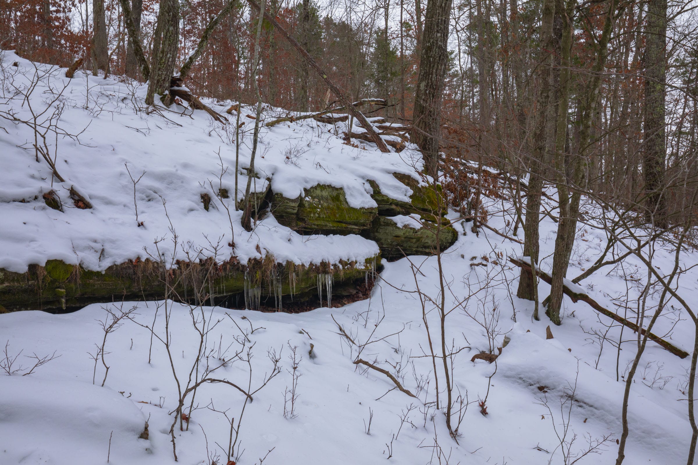 Sleepy Hollow Phase I Tract 51 photo 6