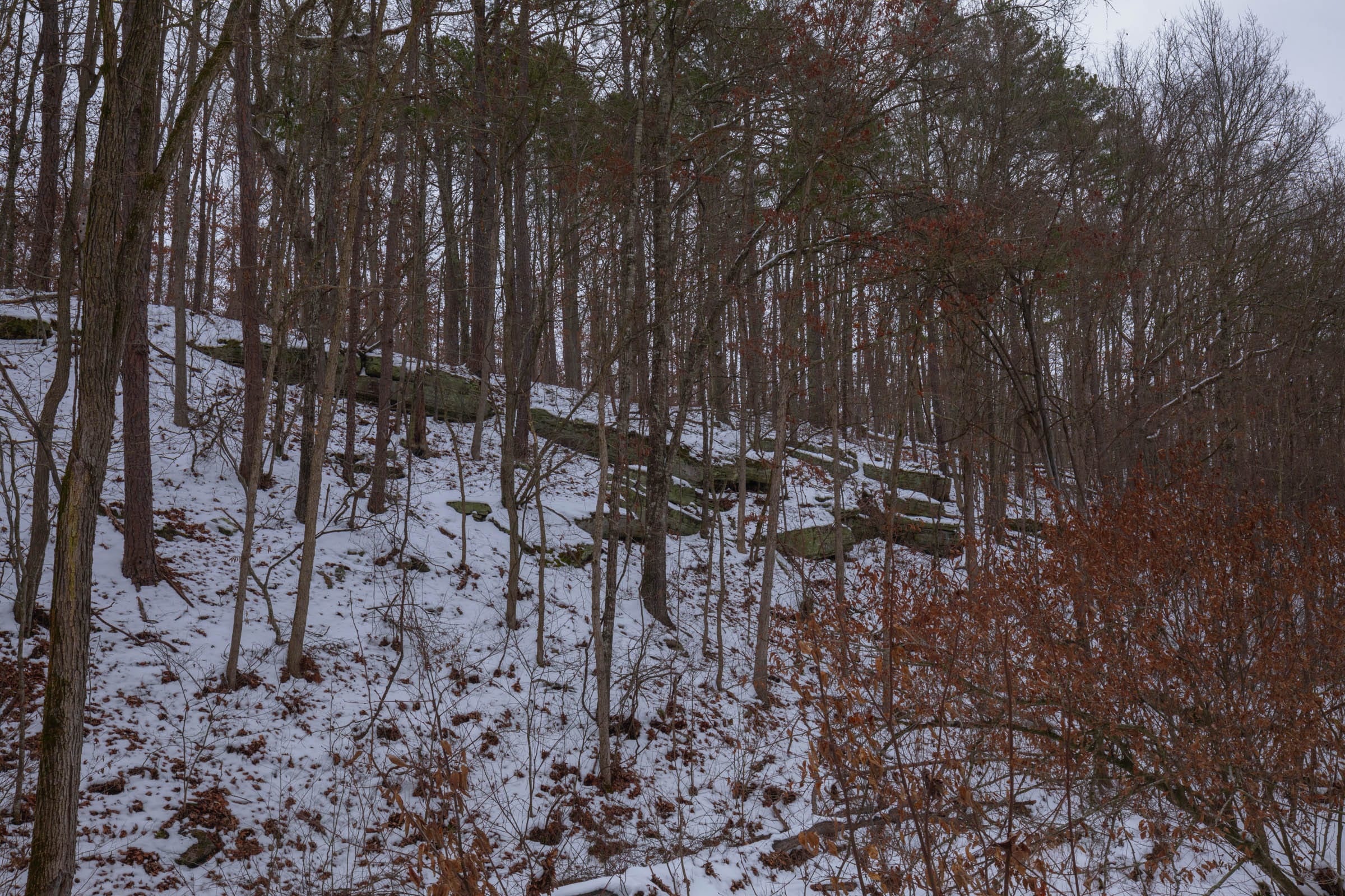 Sleepy Hollow Phase I Tract 51 photo 4