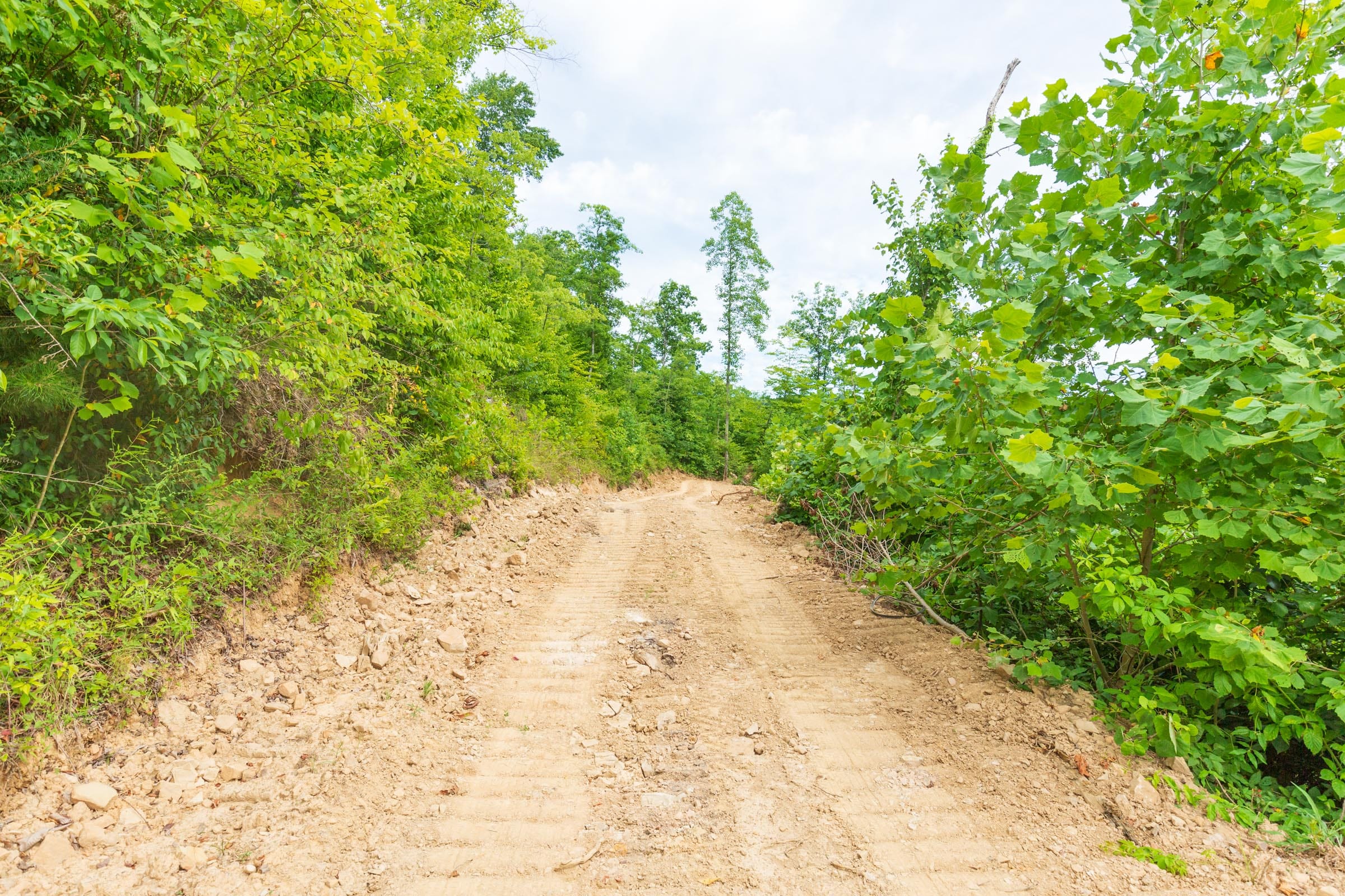 River’s Edge Tract 7 photo 1