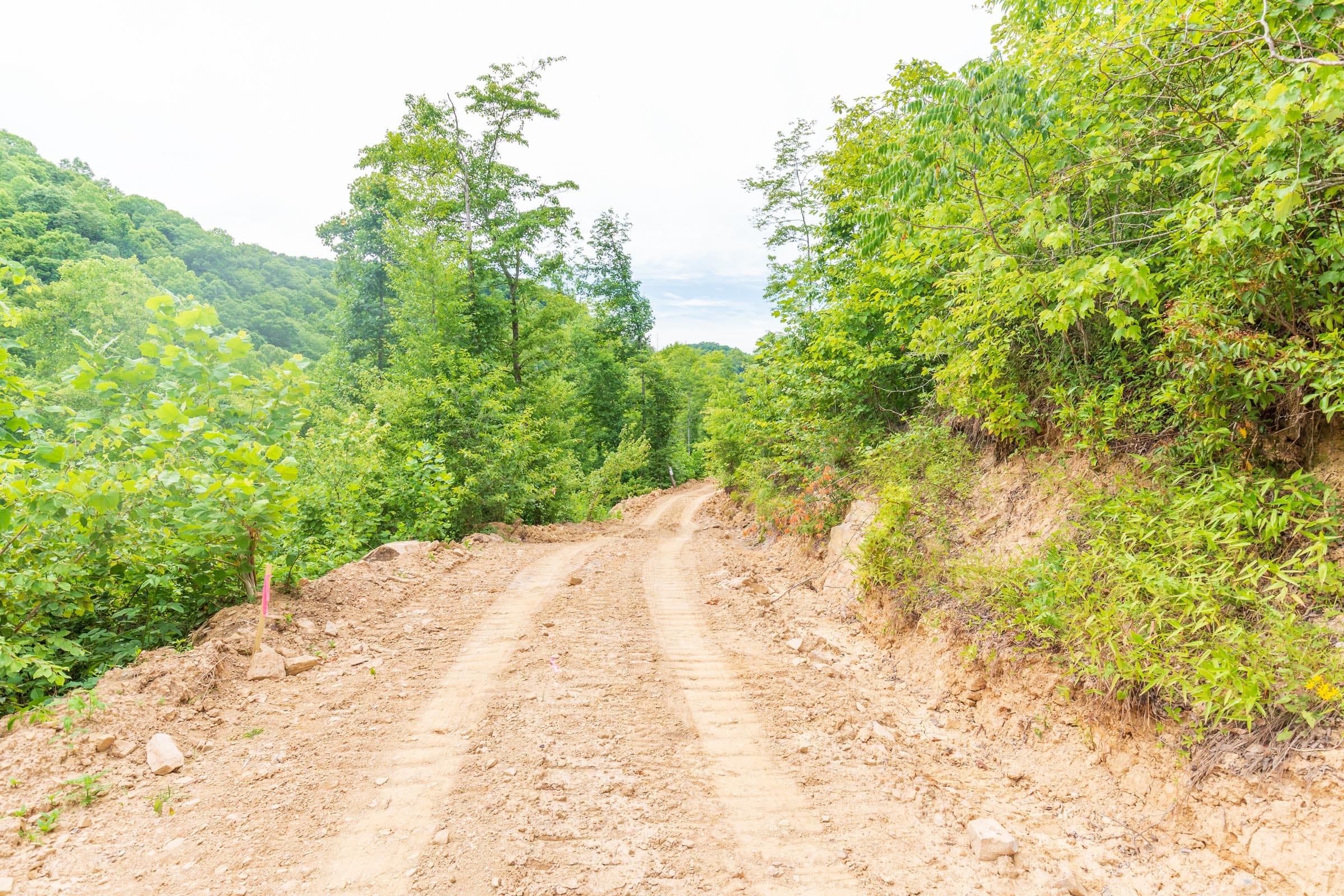 River’s Edge Tract 7 photo 5