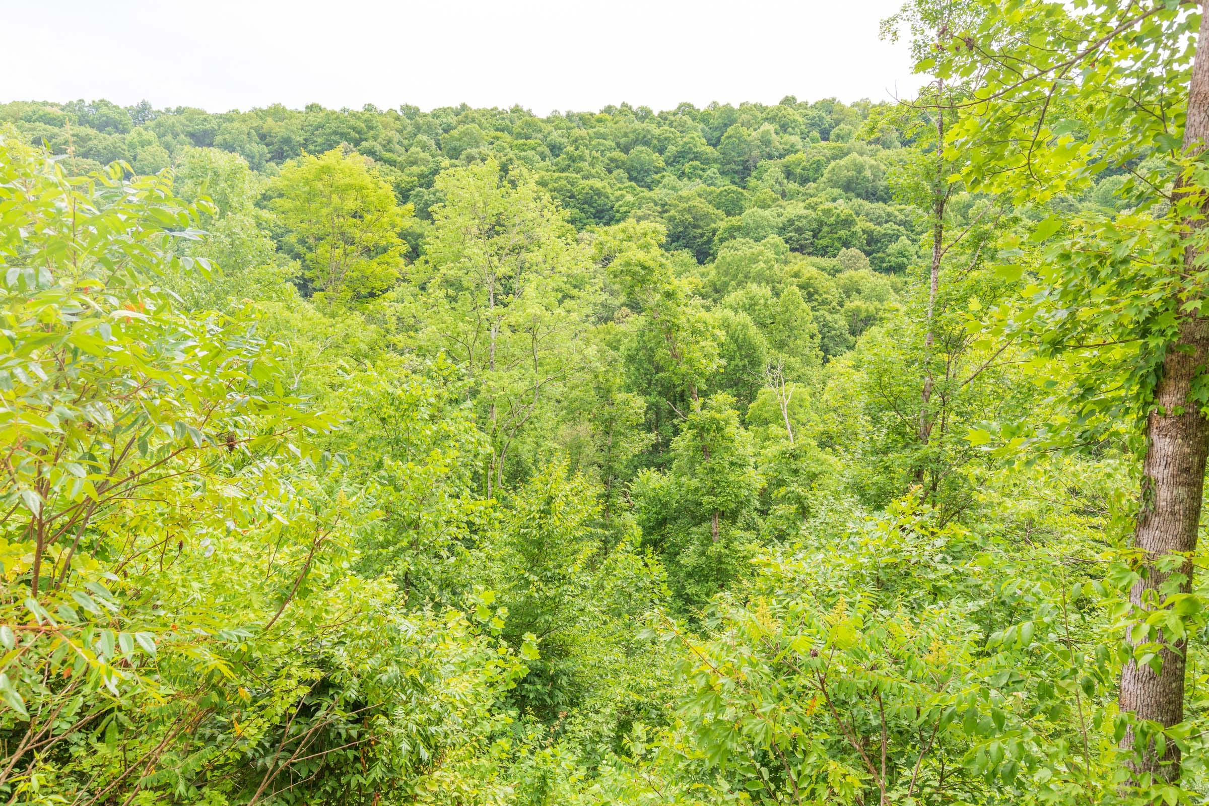 River’s Edge Tract 7 photo 9