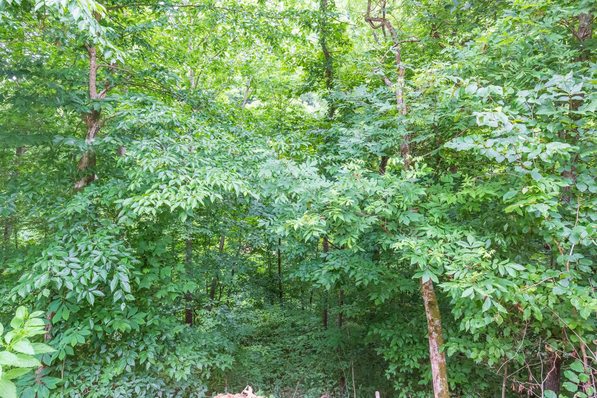 River’s Edge Tract 7 photo 10