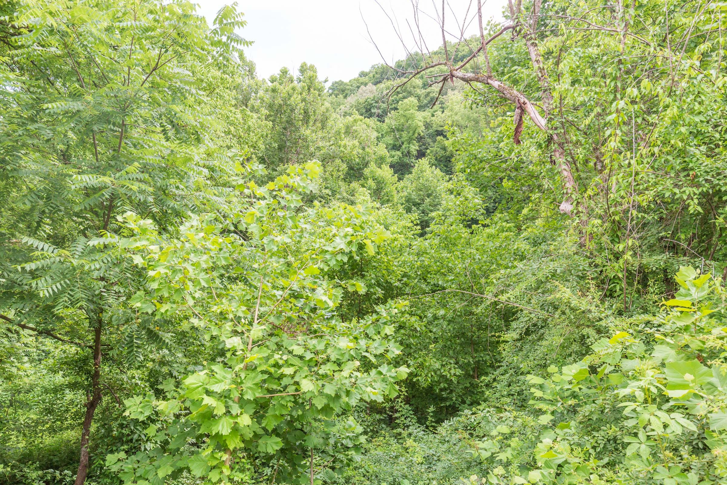 River’s Edge Tract 7 photo 14