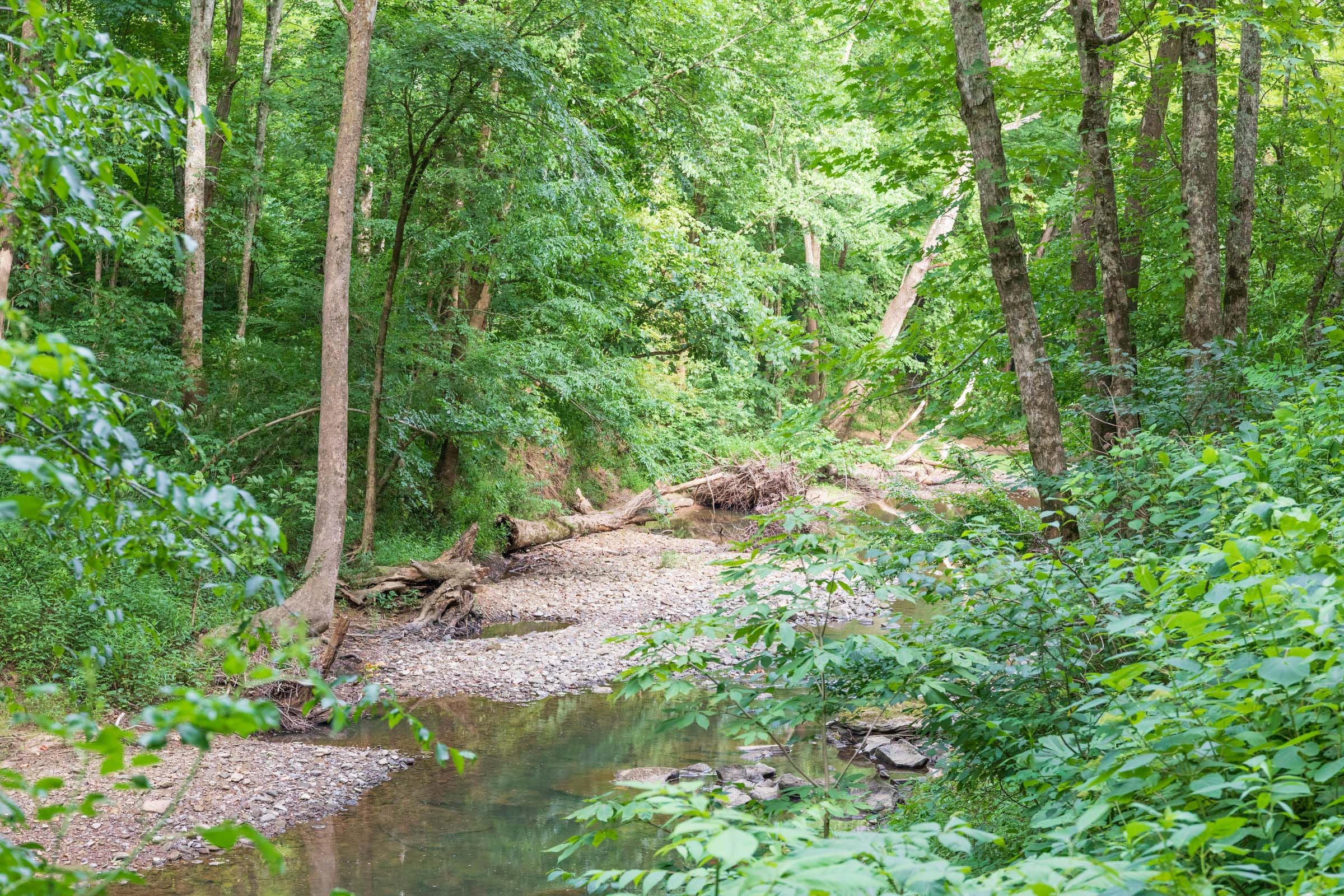 River’s Edge Tract 7 photo 3