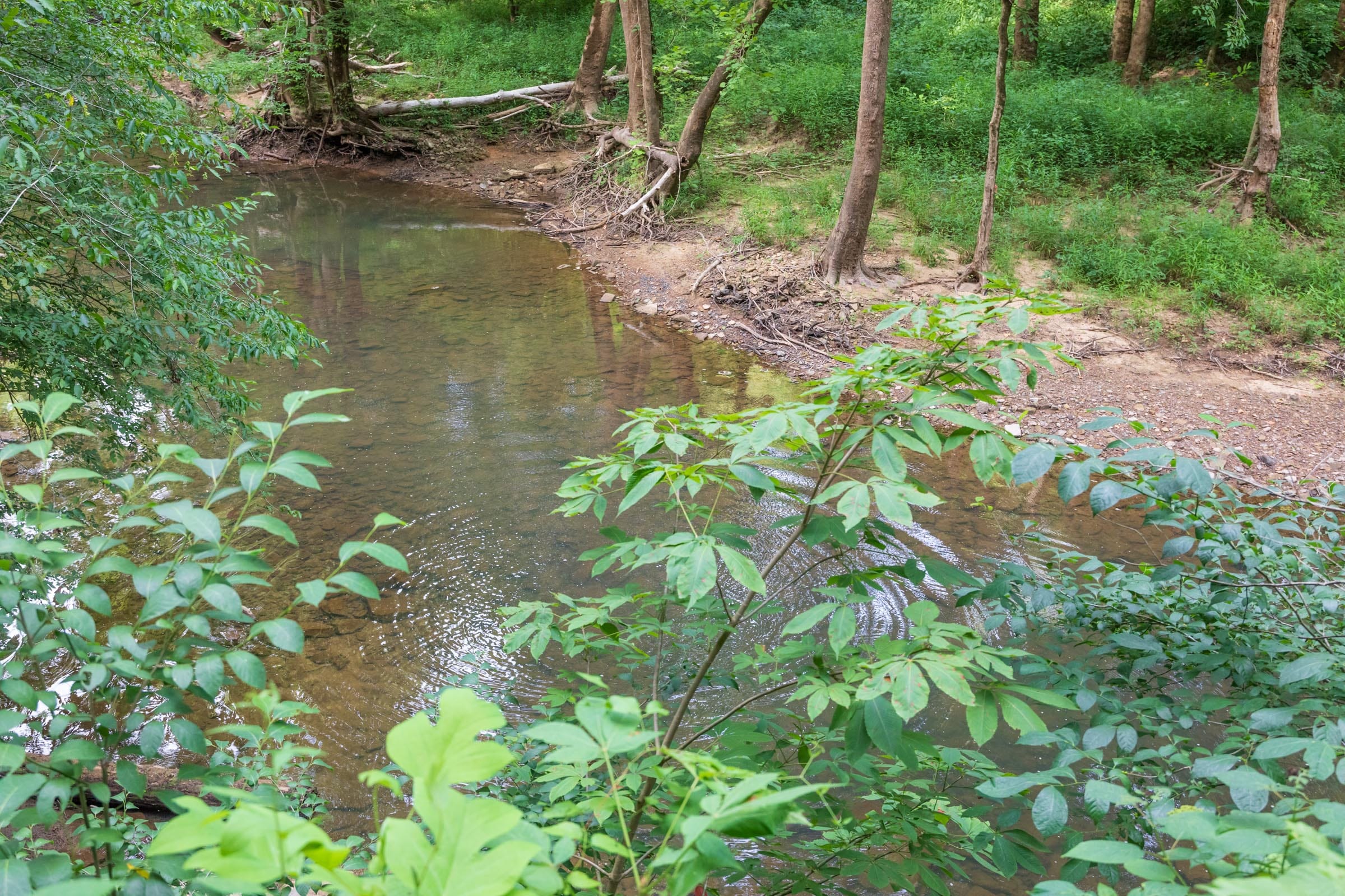 River’s Edge Tract 7 photo 2