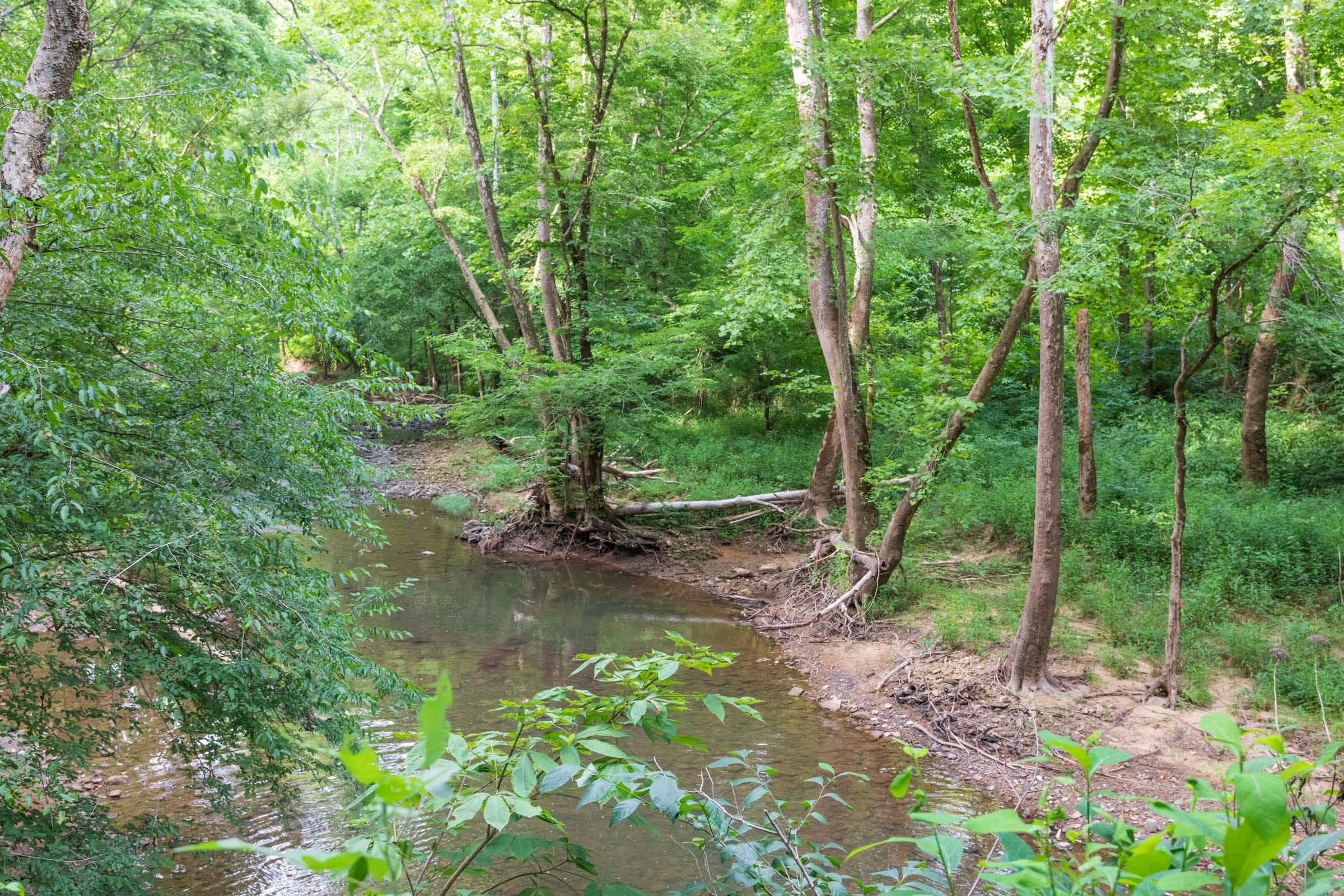 River’s Edge Tract 7 photo 4
