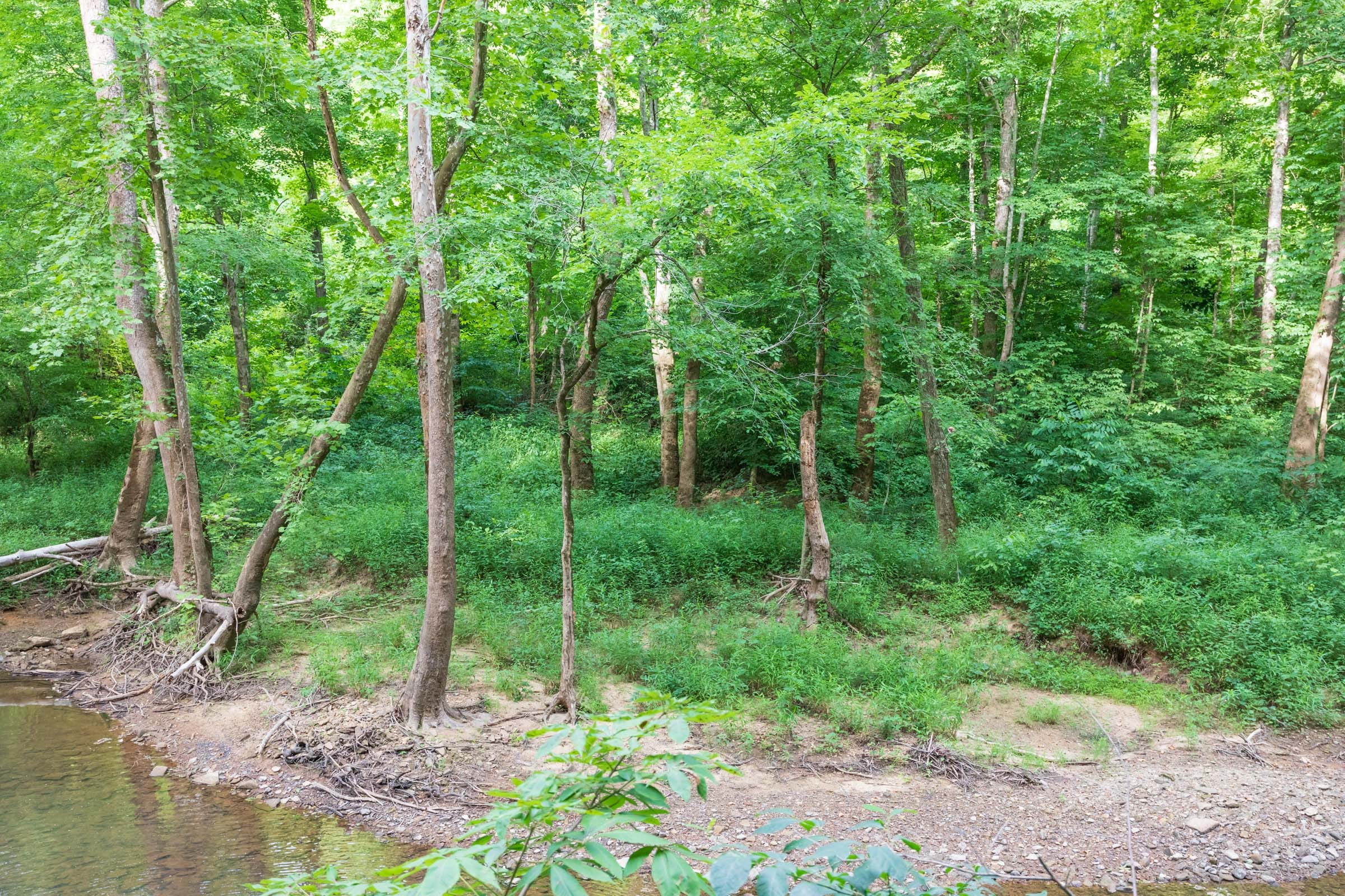 River’s Edge Tract 7 photo 16