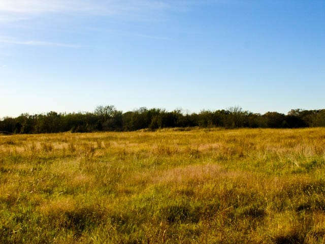 Saddlebrook Ranch Tract 26 photo 3