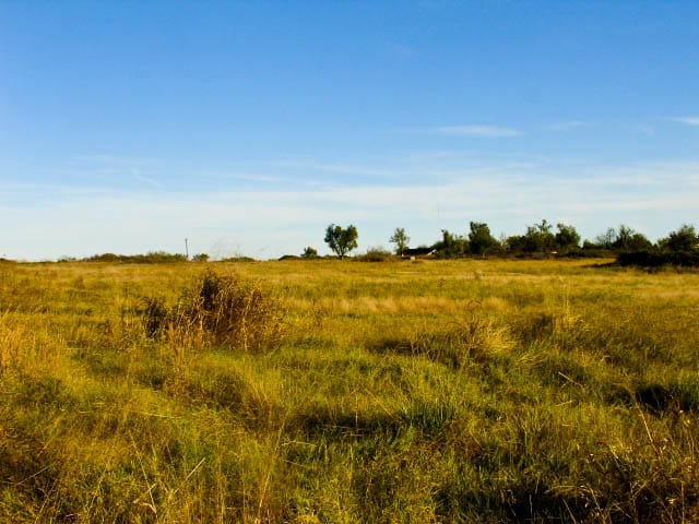 Saddlebrook Ranch Tract 26 photo 4