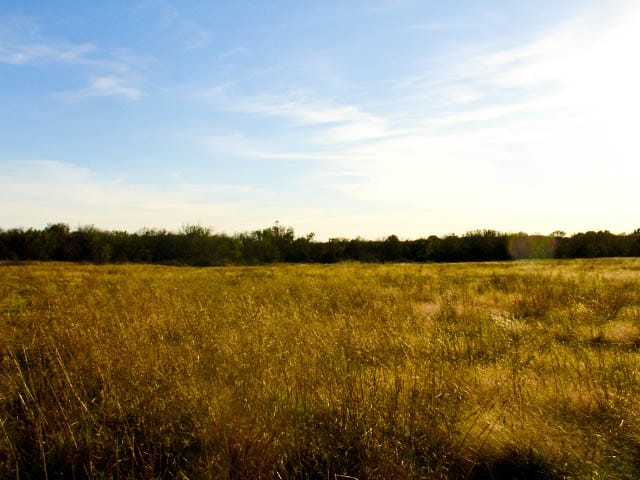 Saddlebrook Ranch Tract 26 photo 5