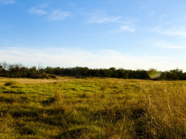Saddlebrook Ranch Tract 26 photo 6