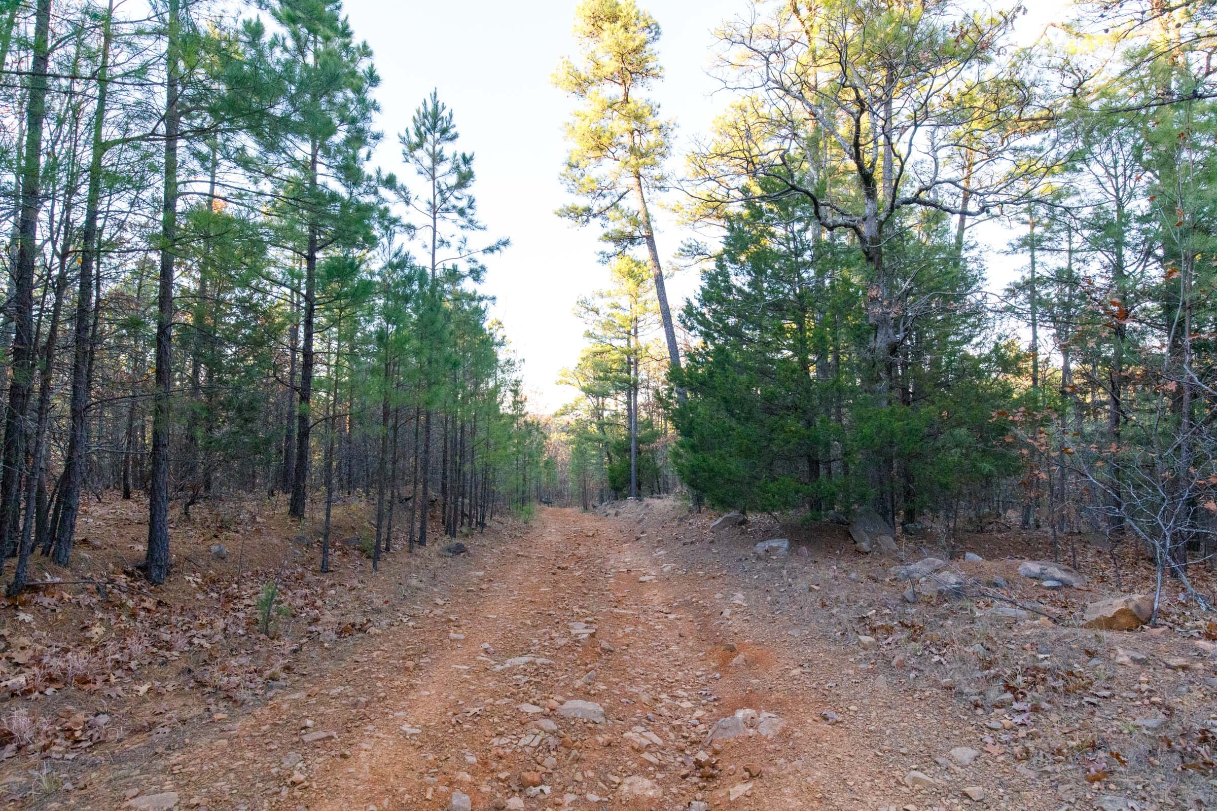 Stone Bridge Phase II Tract 116 photo 1