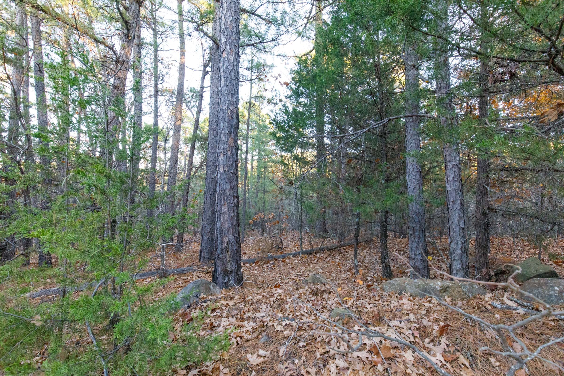 Stone Bridge Phase II Tract 116 photo 2