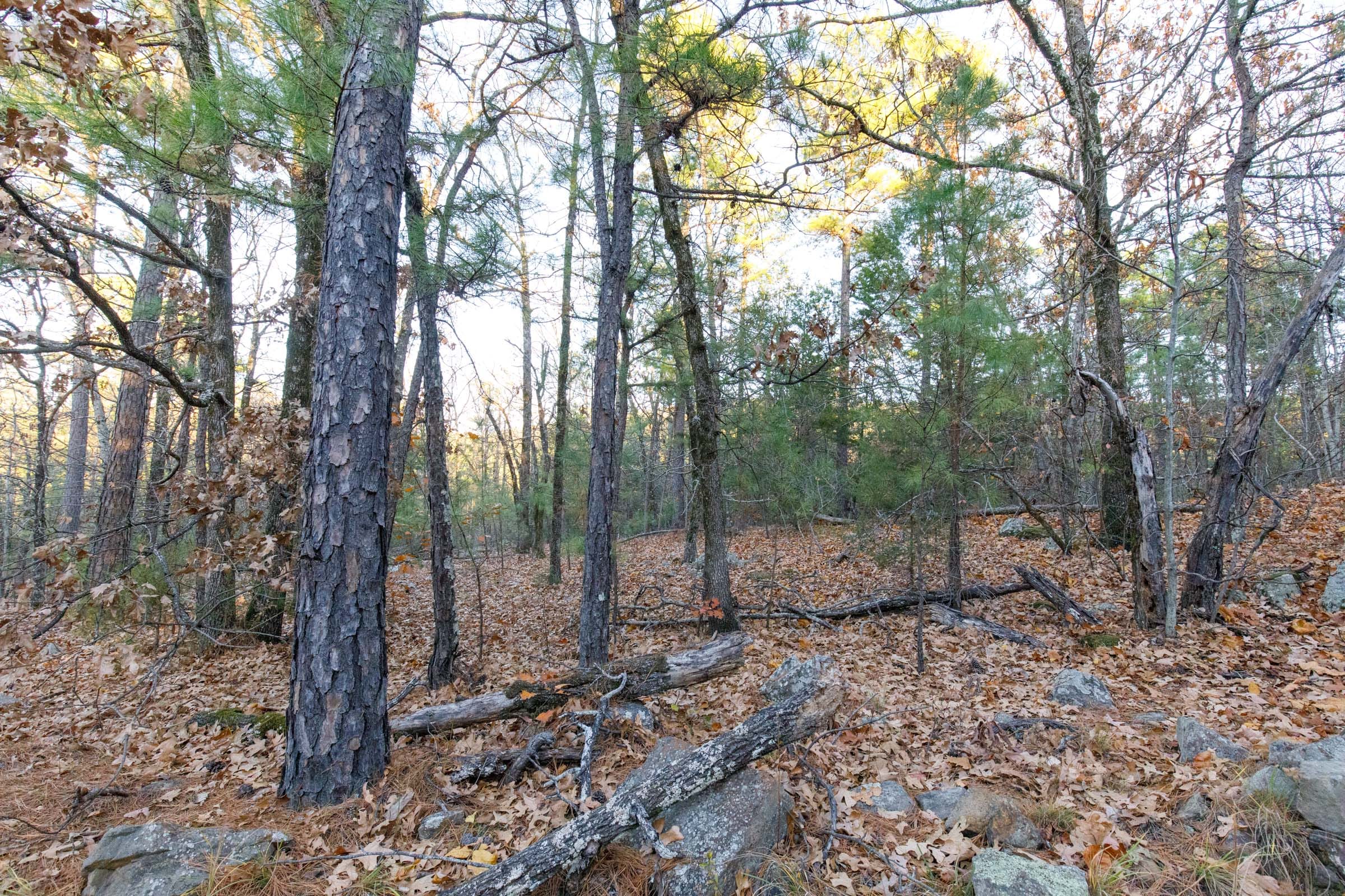 Stone Bridge Phase II Tract 116 photo 4