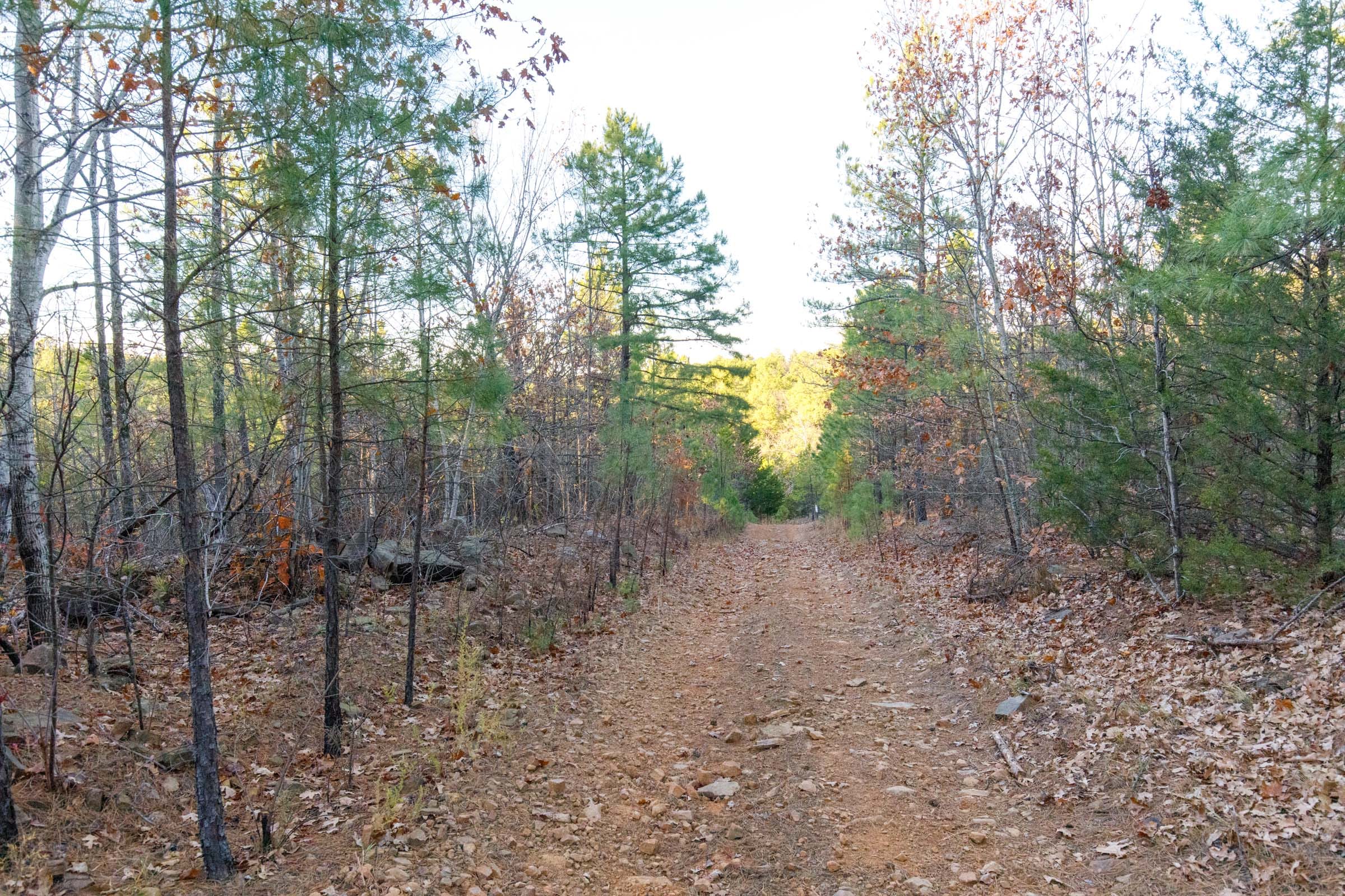 Stone Bridge Phase II Tract 116 photo 5