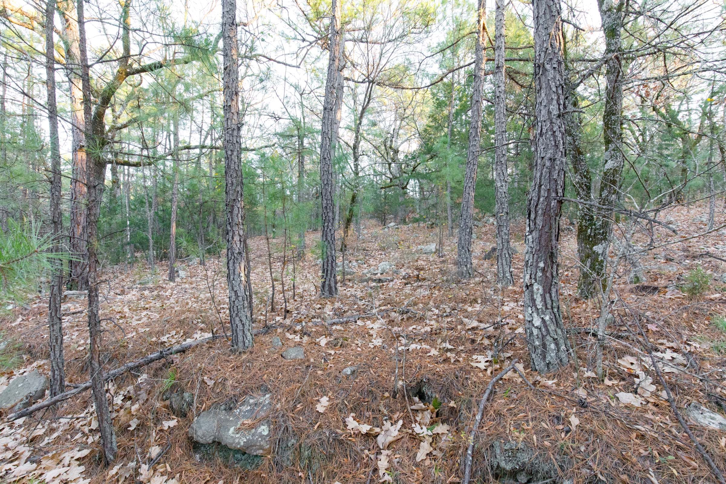 Stone Bridge Phase II Tract 116 photo 6