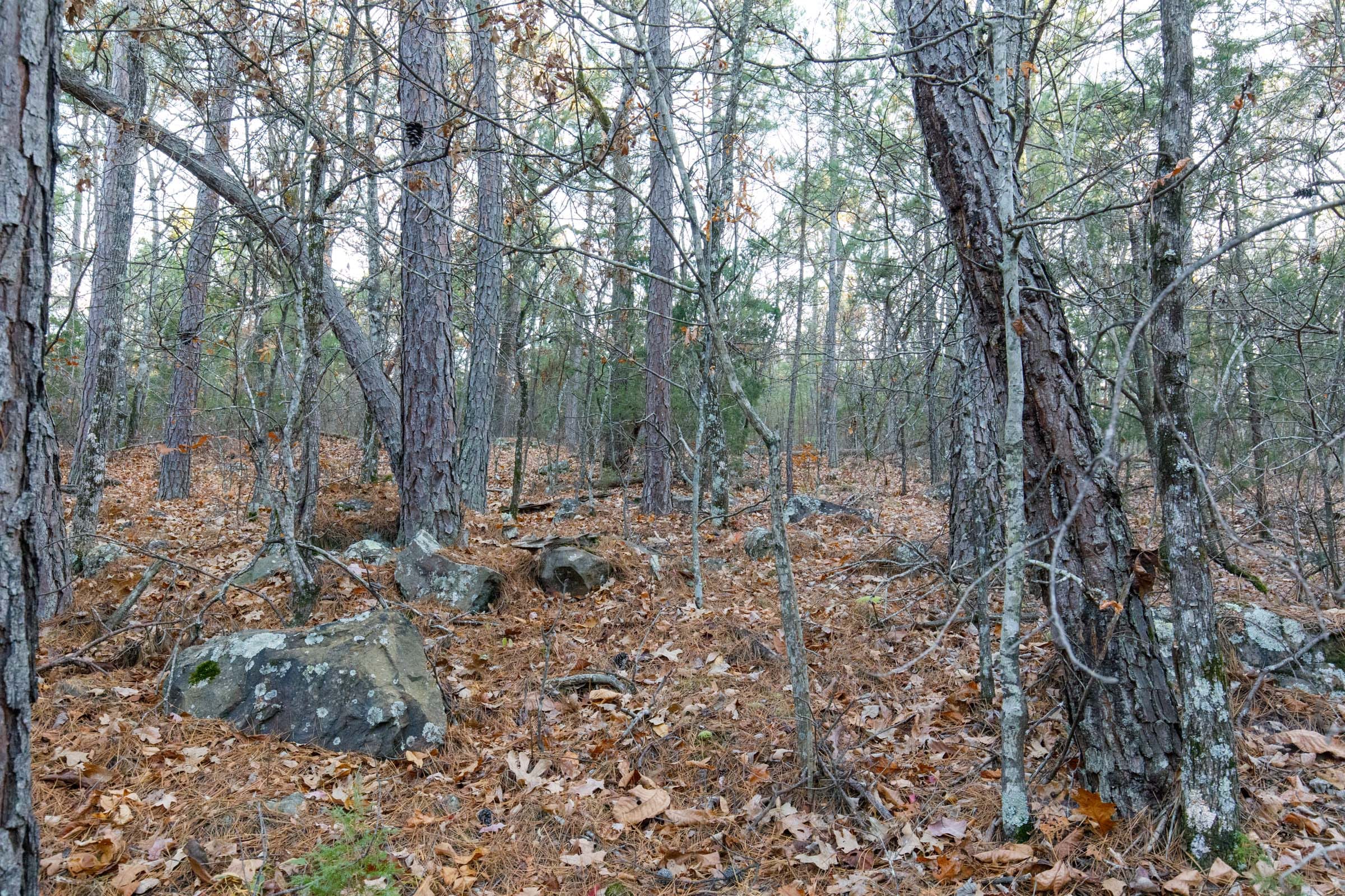 Stone Bridge Phase II Tract 116 photo 8