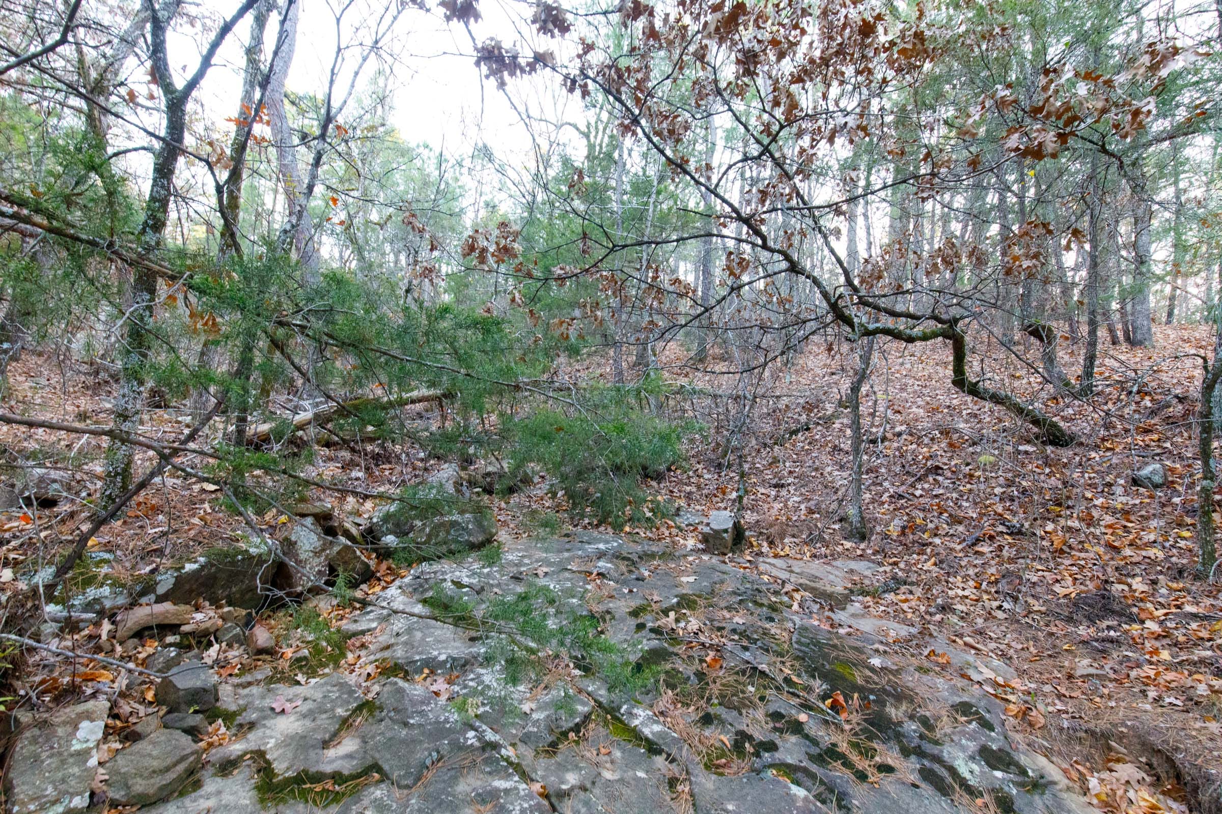 Stone Bridge Phase II Tract 116 photo 9