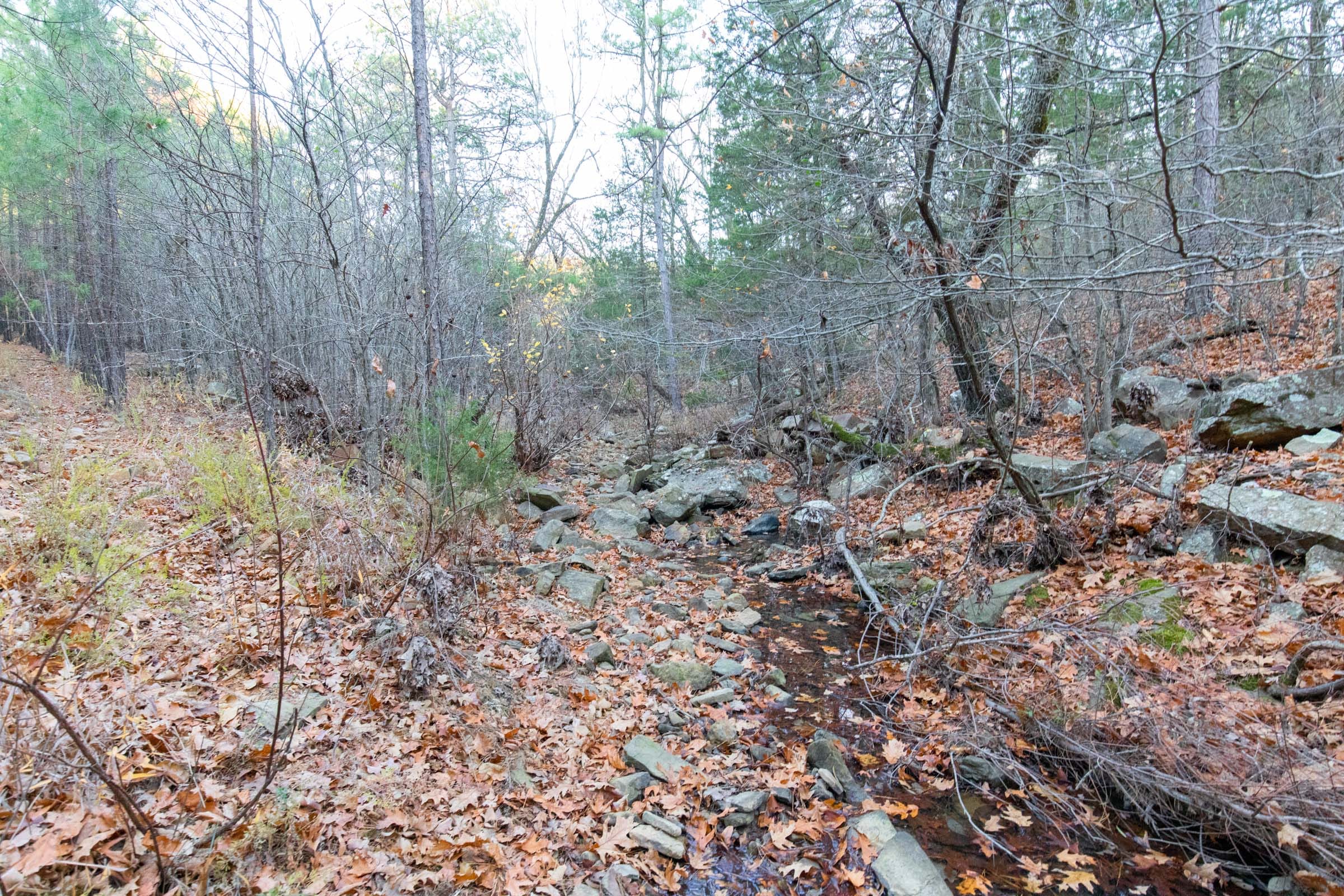 Stone Bridge Phase II Tract 116 photo 11